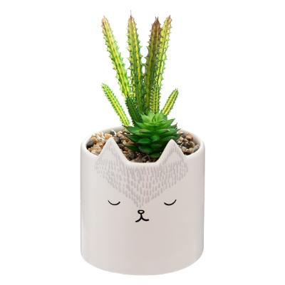 Fox Pot And Plant Gift