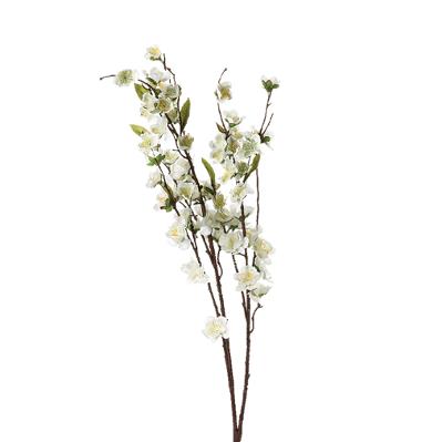 Cherry Blossom White H110 Gift