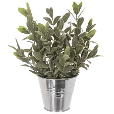 Plant In Tin Pot H25cm Assorted Gift