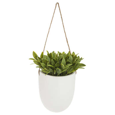 Hanging Wall  Plant Ceramic H20 Assortment Gift