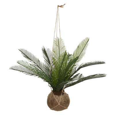 Palm W Coconut Pot H50 Gift