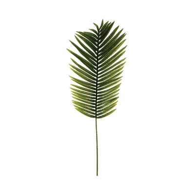 Palm Leaf Stem H113 Gift