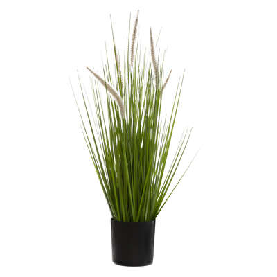 Cat Tails And Grass Bunch H70 Gift