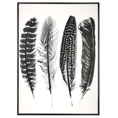 Frame Print Feather 60x80 Gift