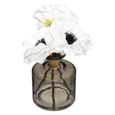 Anemone Stem + Glass  Vase Assortment Gift