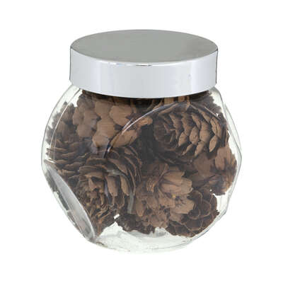 Pinecone In Jar D3cm X 24 Gift