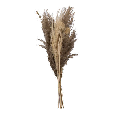 Dried Pampas Bouquet H58 Gift