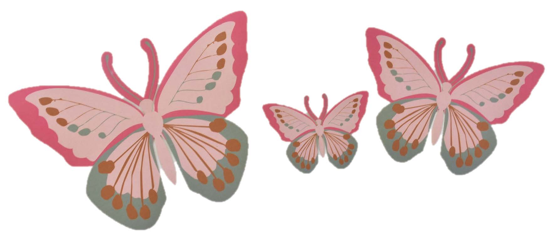 Set Of 3 Butterflies - Pink Gift