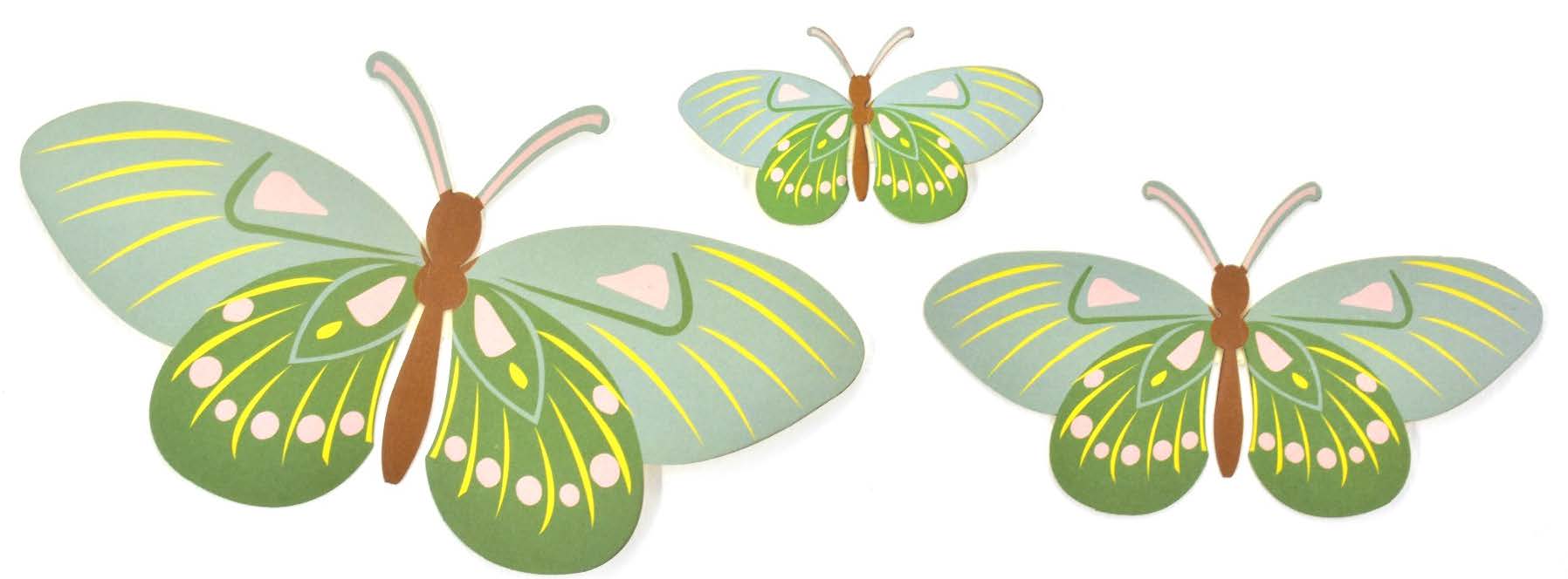 Set Of 3 Butterflies - Green Gift