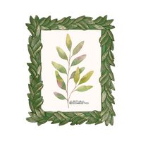 Tiguardo Photoframe 13x18 Laurel G Gift