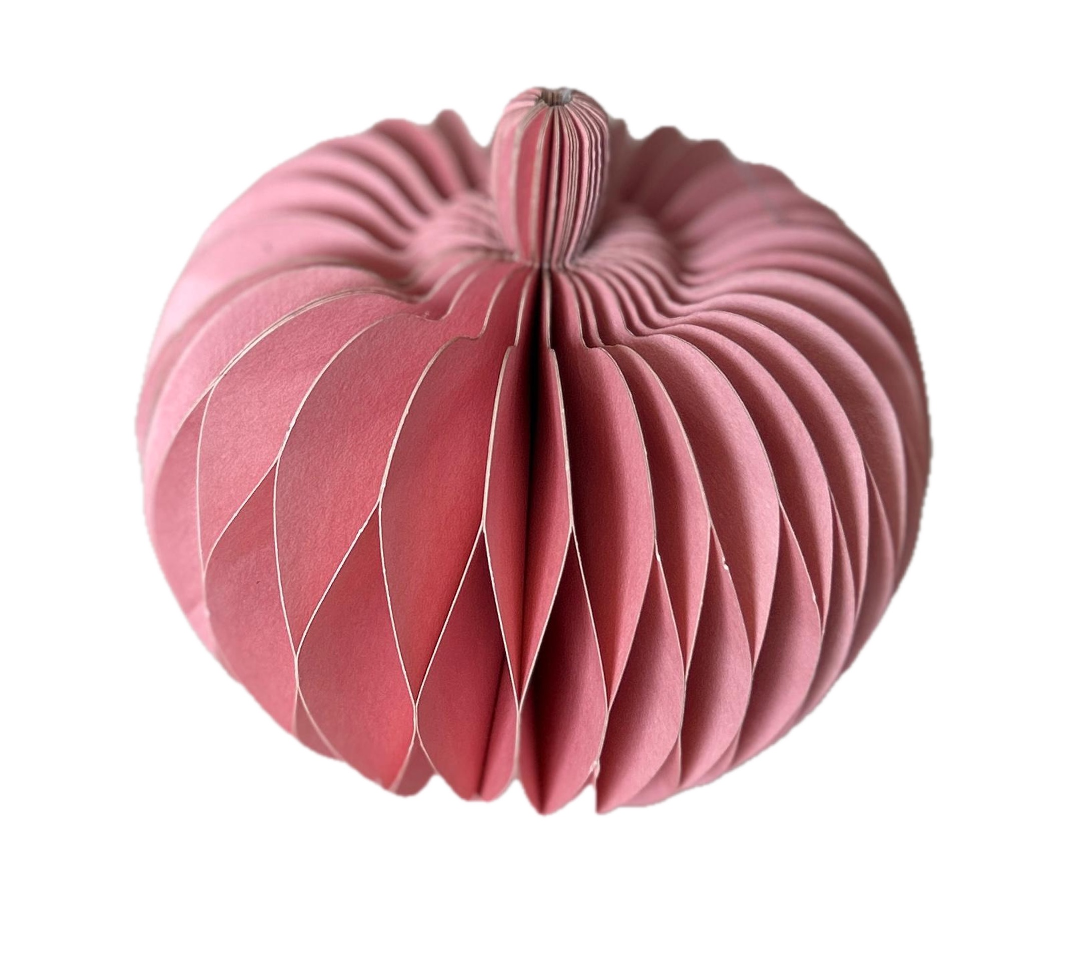 Paper Pumpkin 20cm Pink Gift