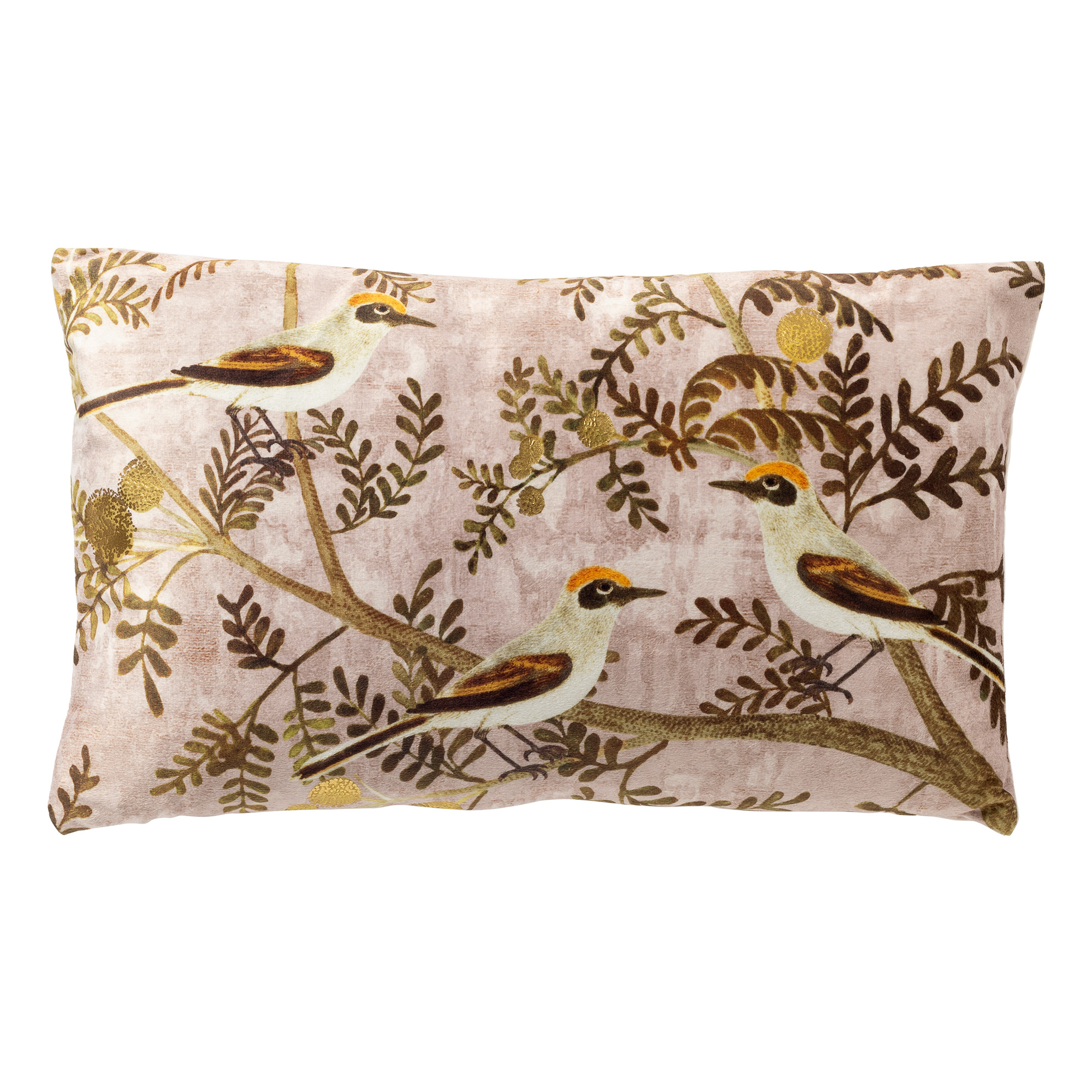 Birdy 30x50cm Muted Clay Cushion Cover Gift