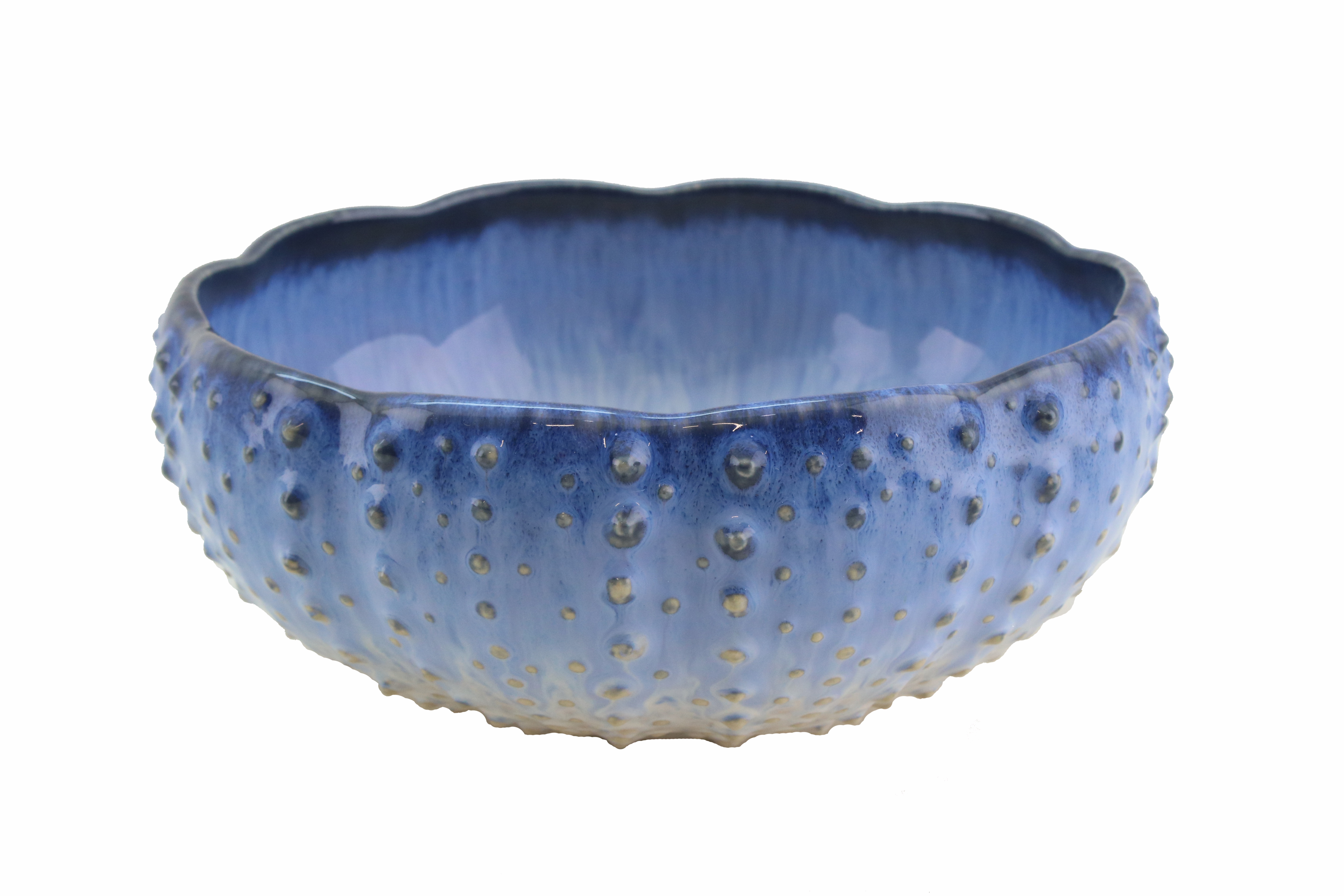 Sardines  Large Urchin Bowl 18cm Gift