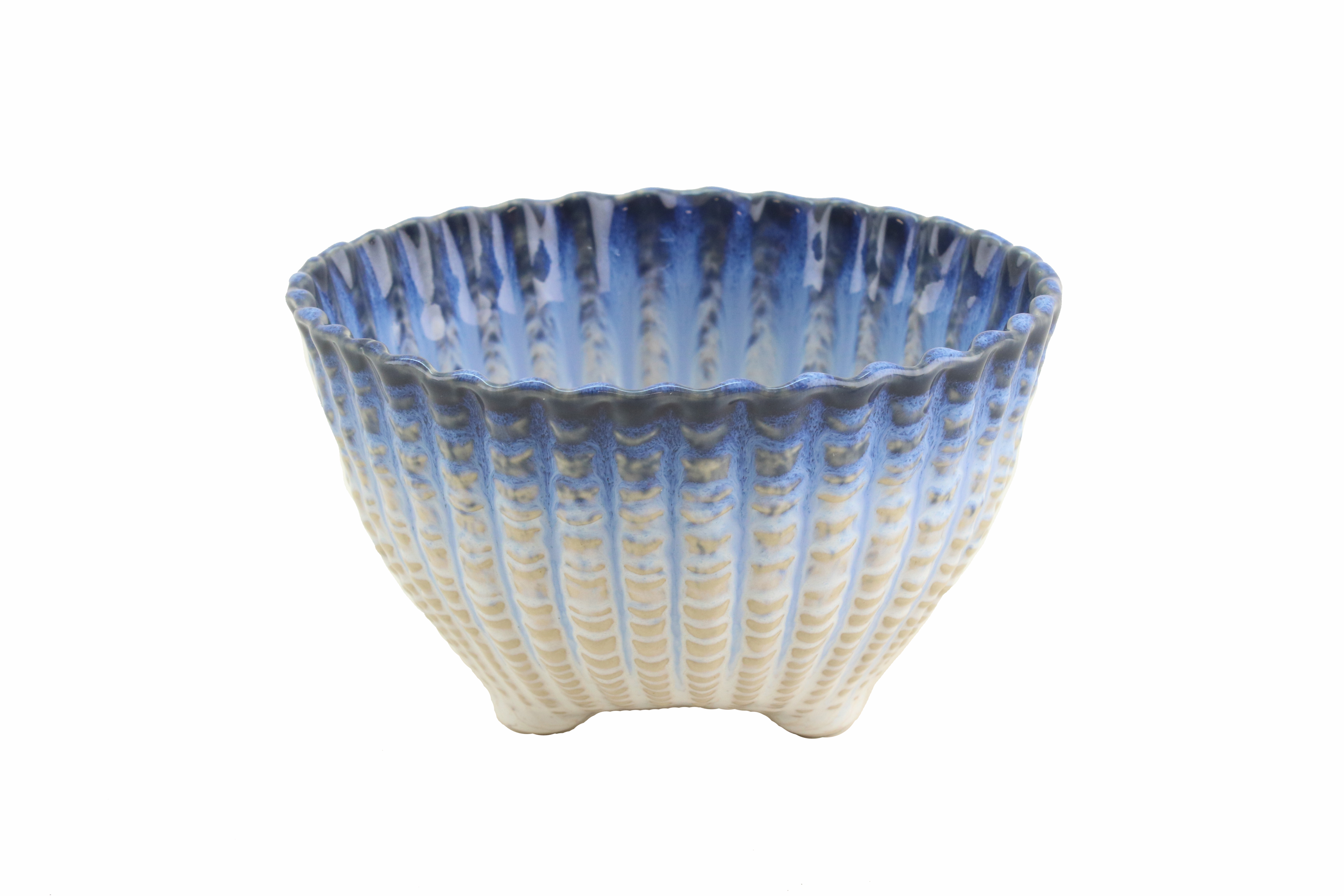 Sardines Shell Bowl 14cm Gift