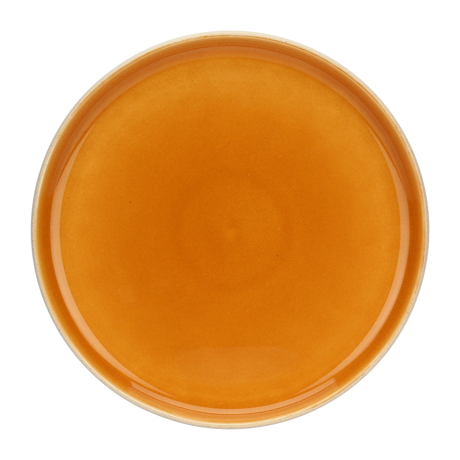 Arpeggio Pumpkin Dinner Plate 25.5cm Gift