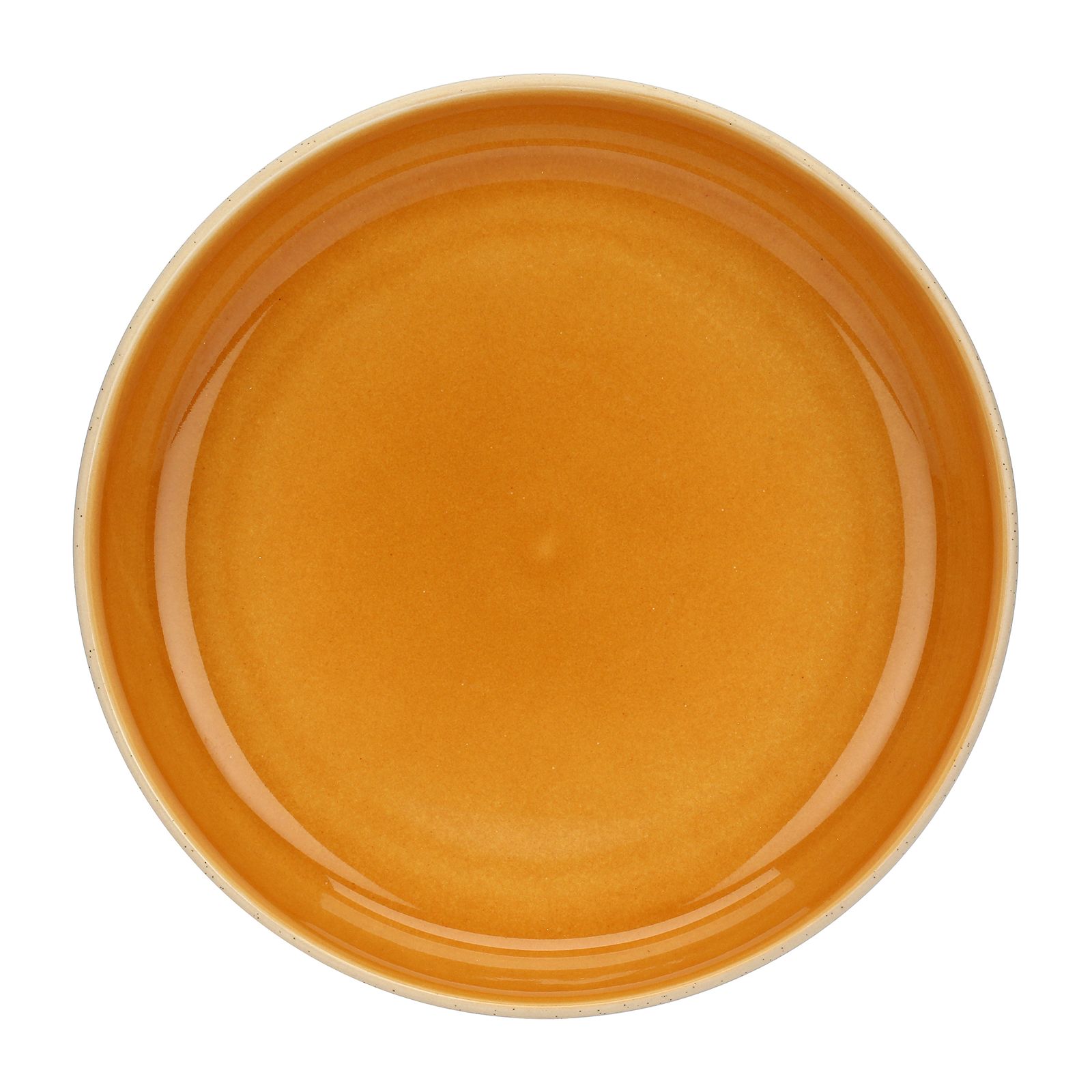 Arpeggio Pumpkin Soup Plate 21cm Gift