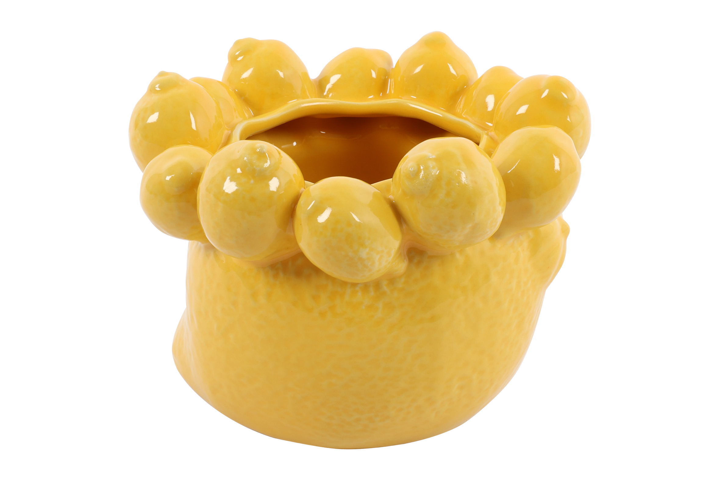 Flowerpot Lemon S Yellow Gift