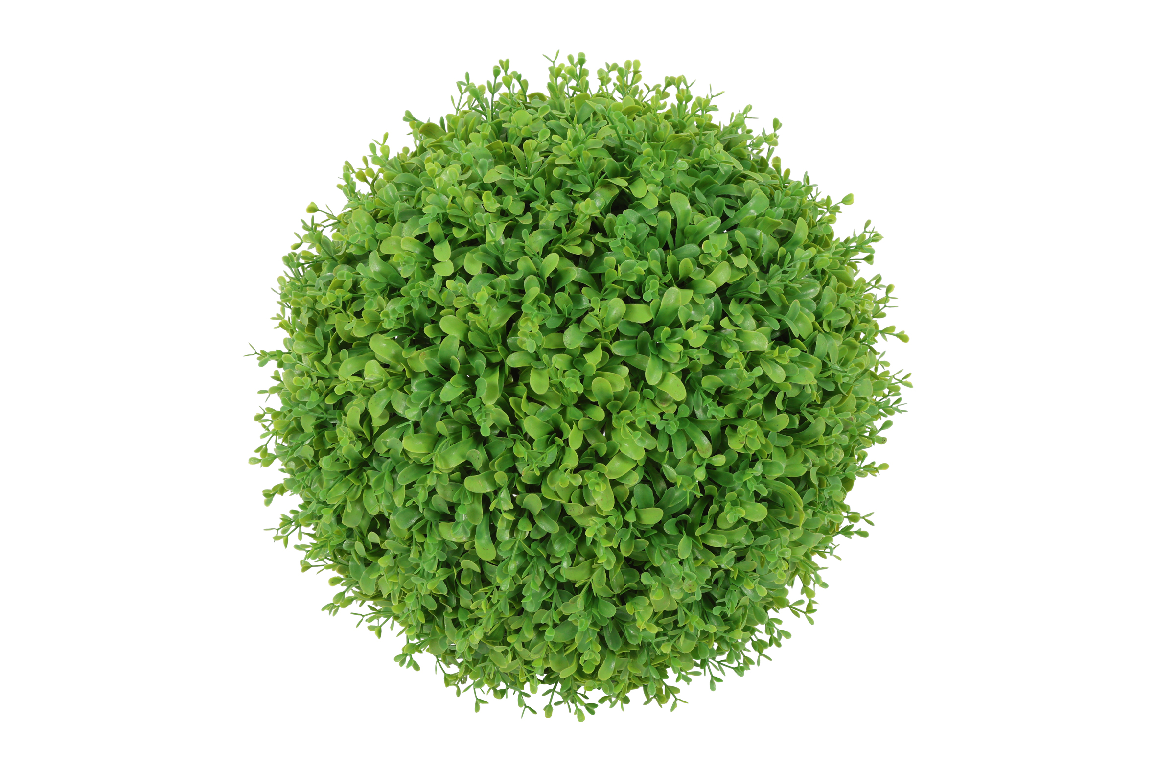 Buxus Rd Xxl L.green Gift