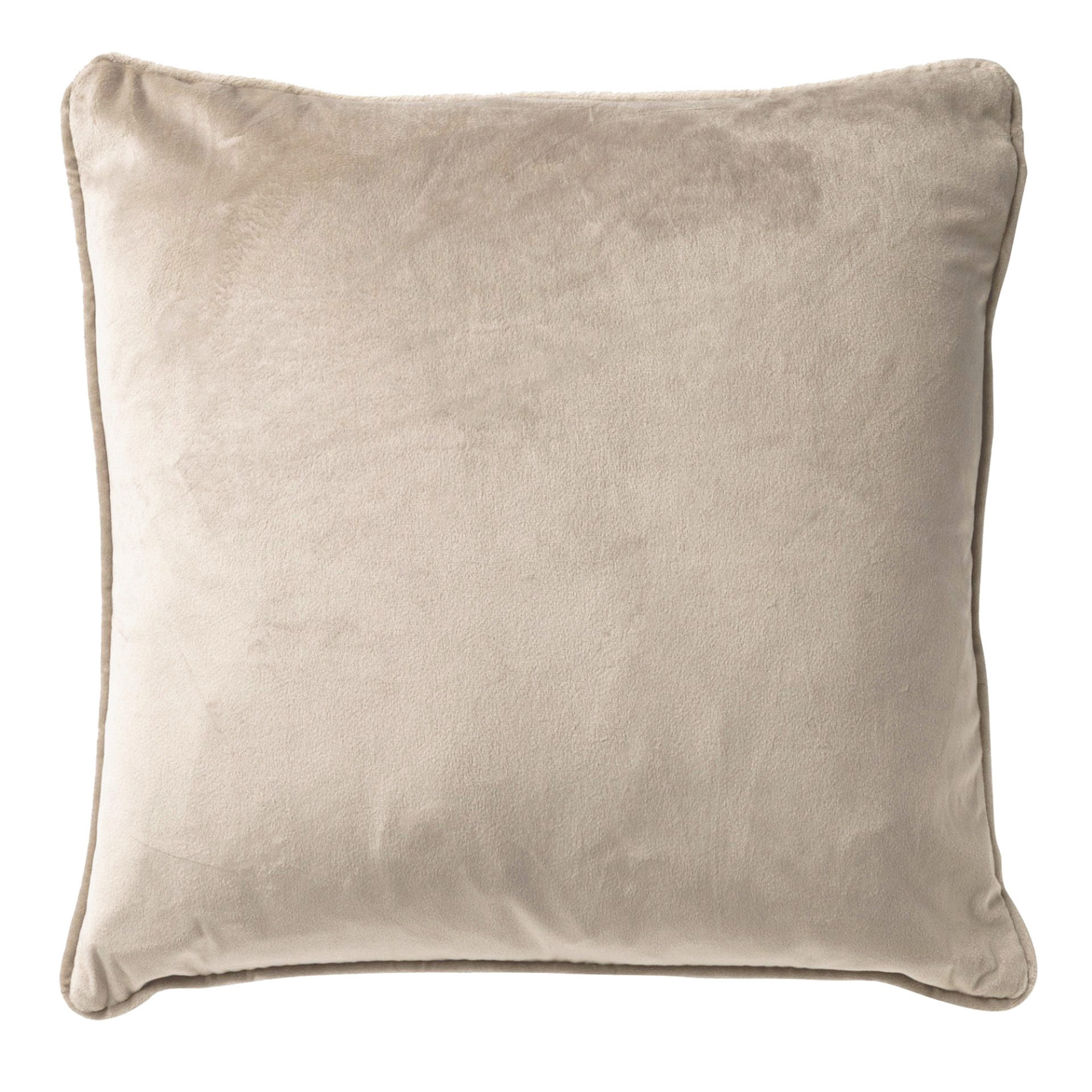 Finn 45x45cm Pumice Stone Cushion Cover Gift