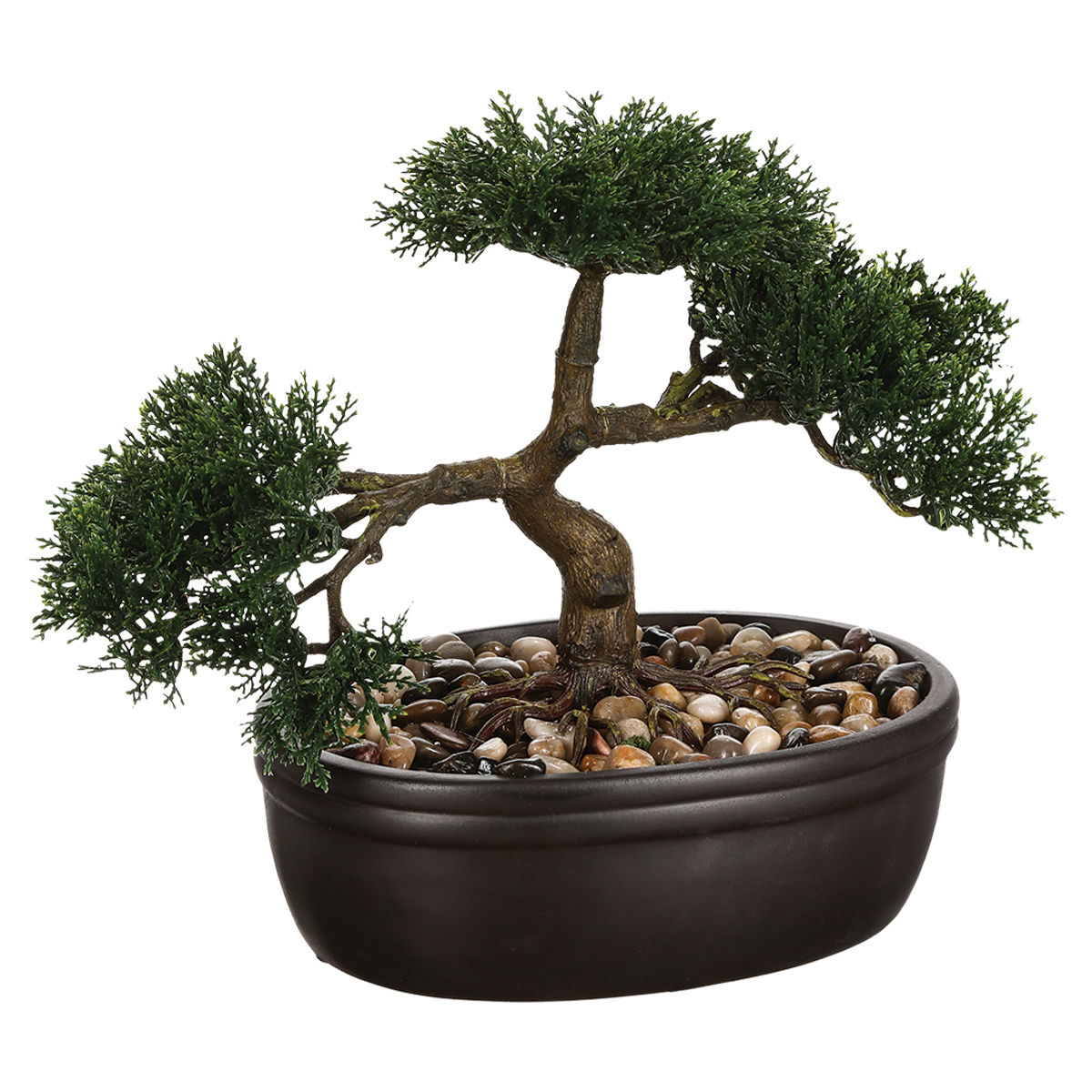 Bonsai 23 Cm High With Ceramic Pot Gift