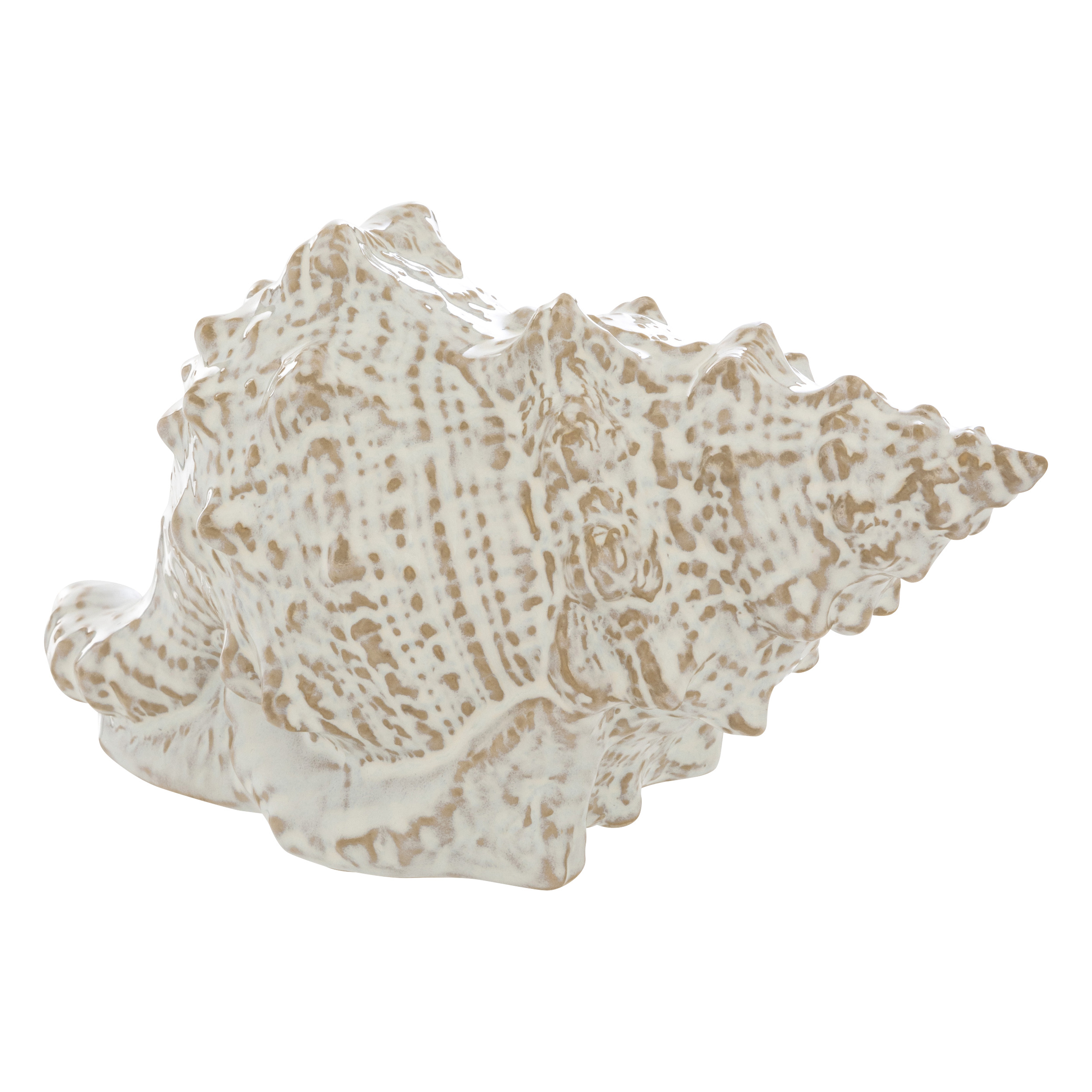 OcÃ‰ane Decorative Shell 20 X 10.5 X 12 Cm White Ceramic Gift