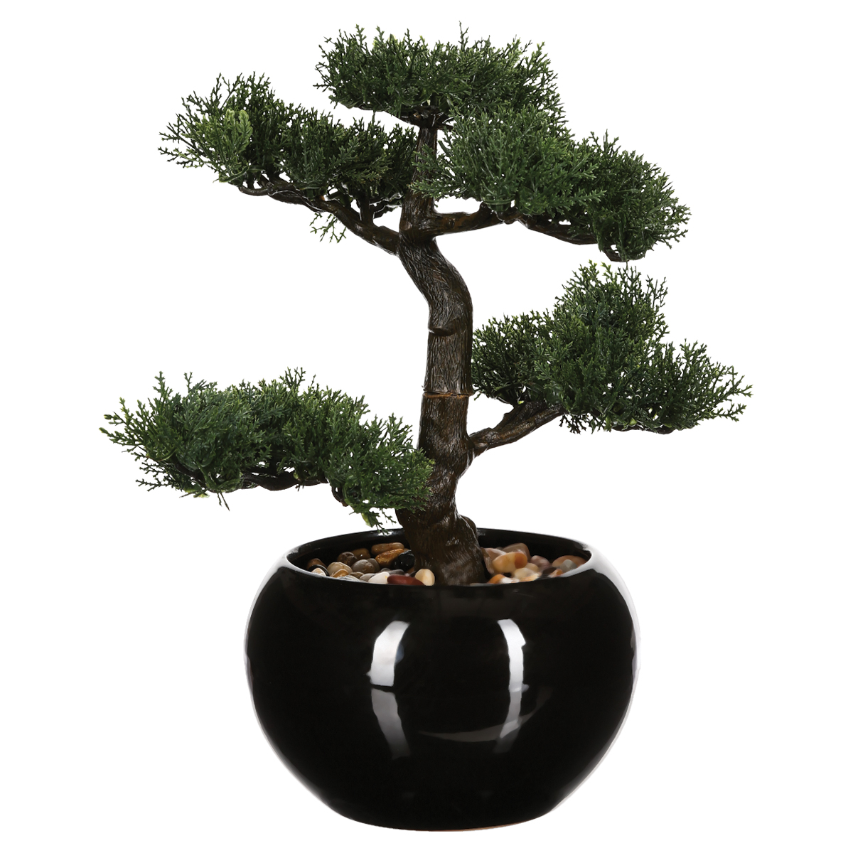 Bonsai 36 Cm High With Ceramic Pot Gift