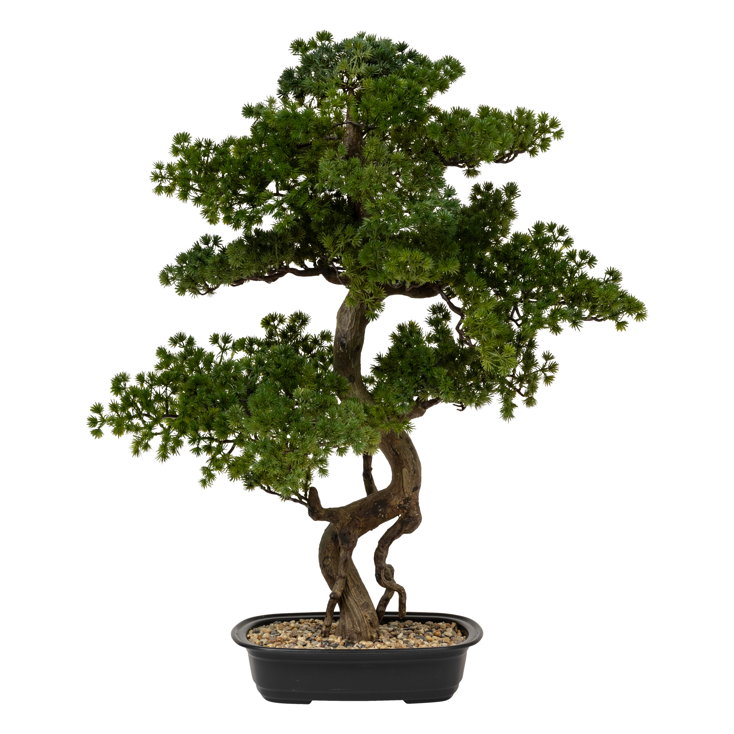 Polin Bonsai Height 86 Cm With Ceramic Pot Gift