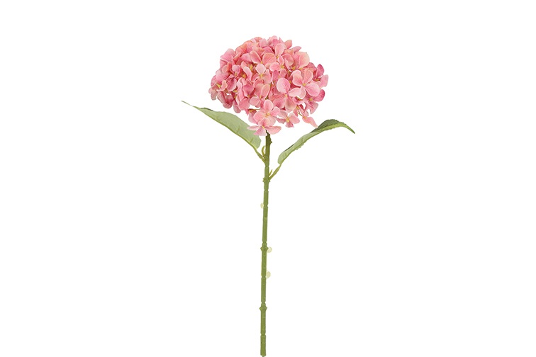 Hydrangea Aletta D.pink Gift