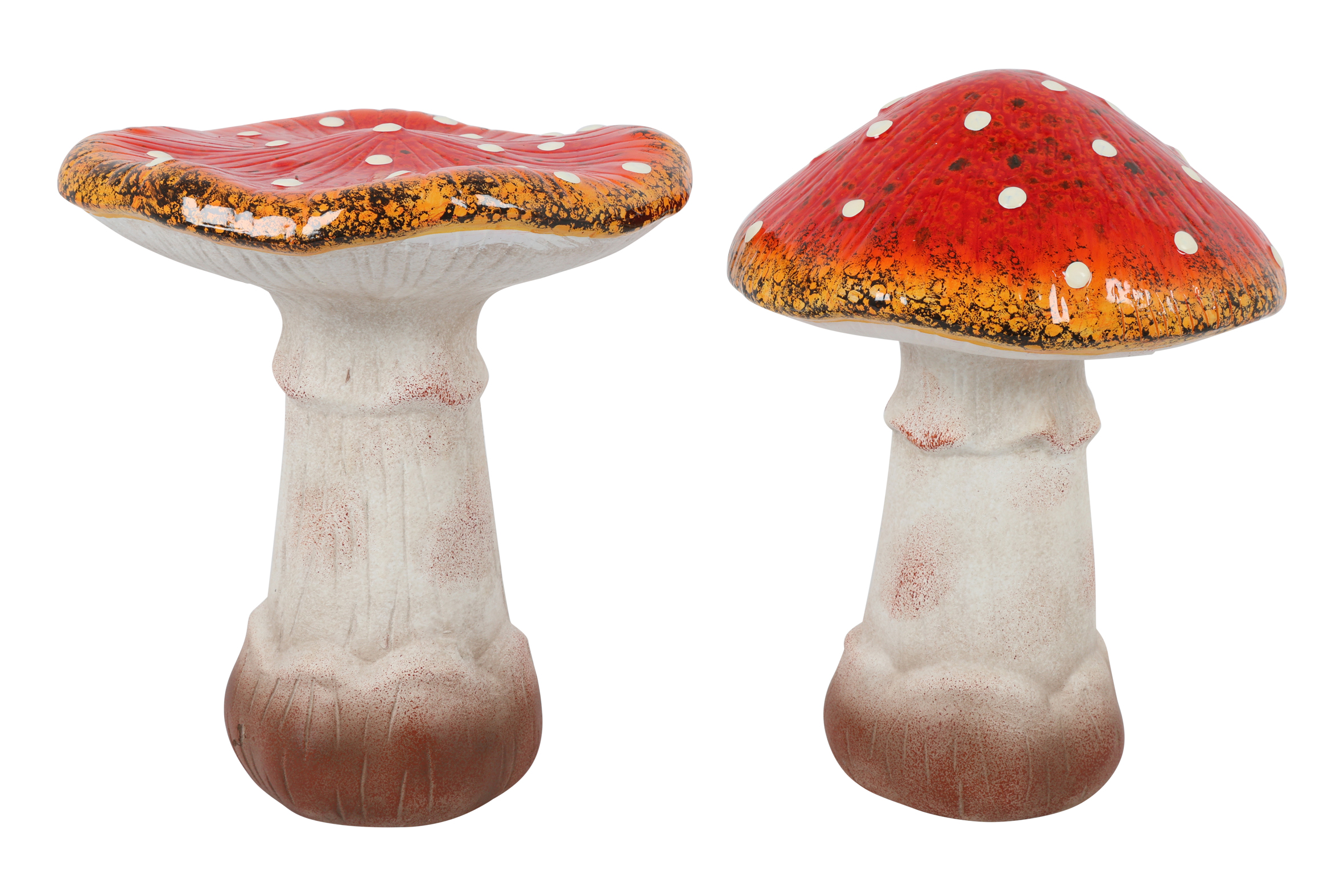 Mushroom Basil L A2 Orange Gift