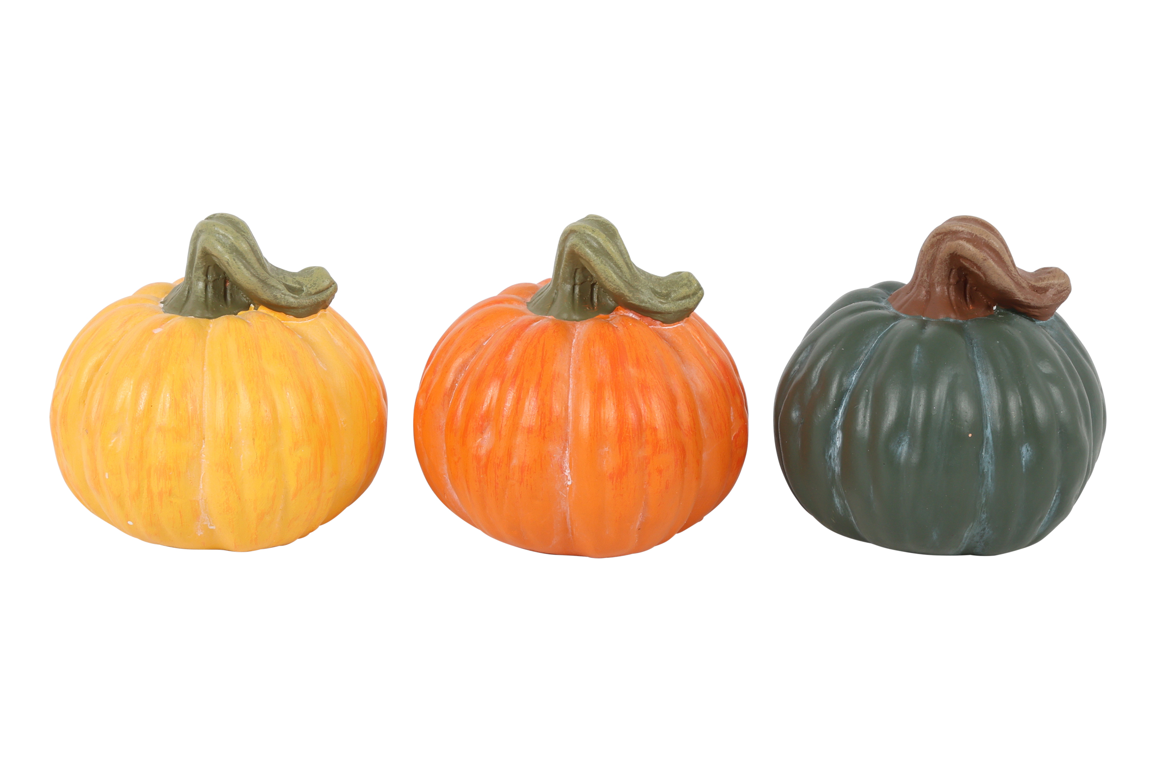 Pumpkin Rd Cesar S A3 Multicolor Gift