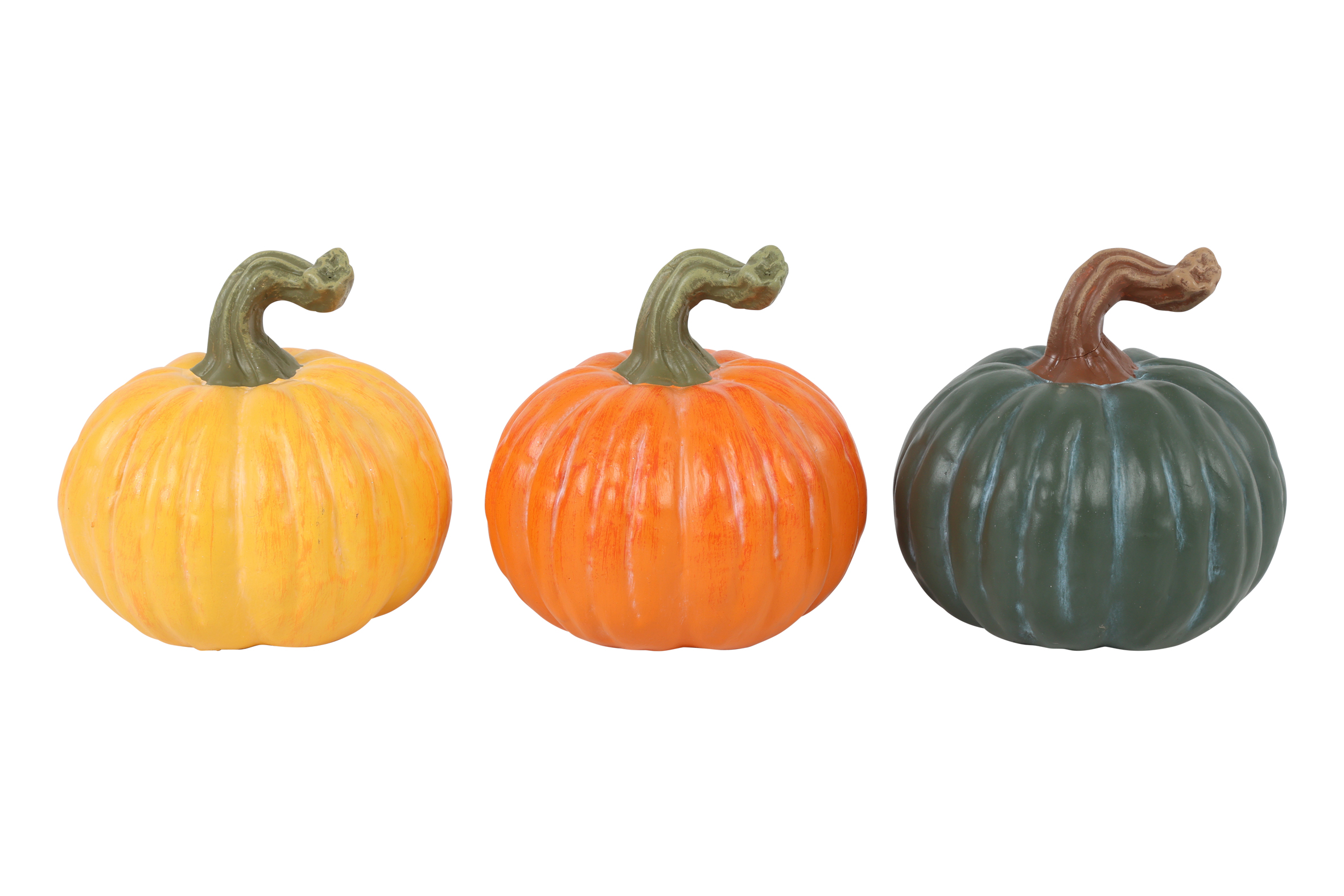 Pumpkin Rd Cesar L A3 Multicolor Gift