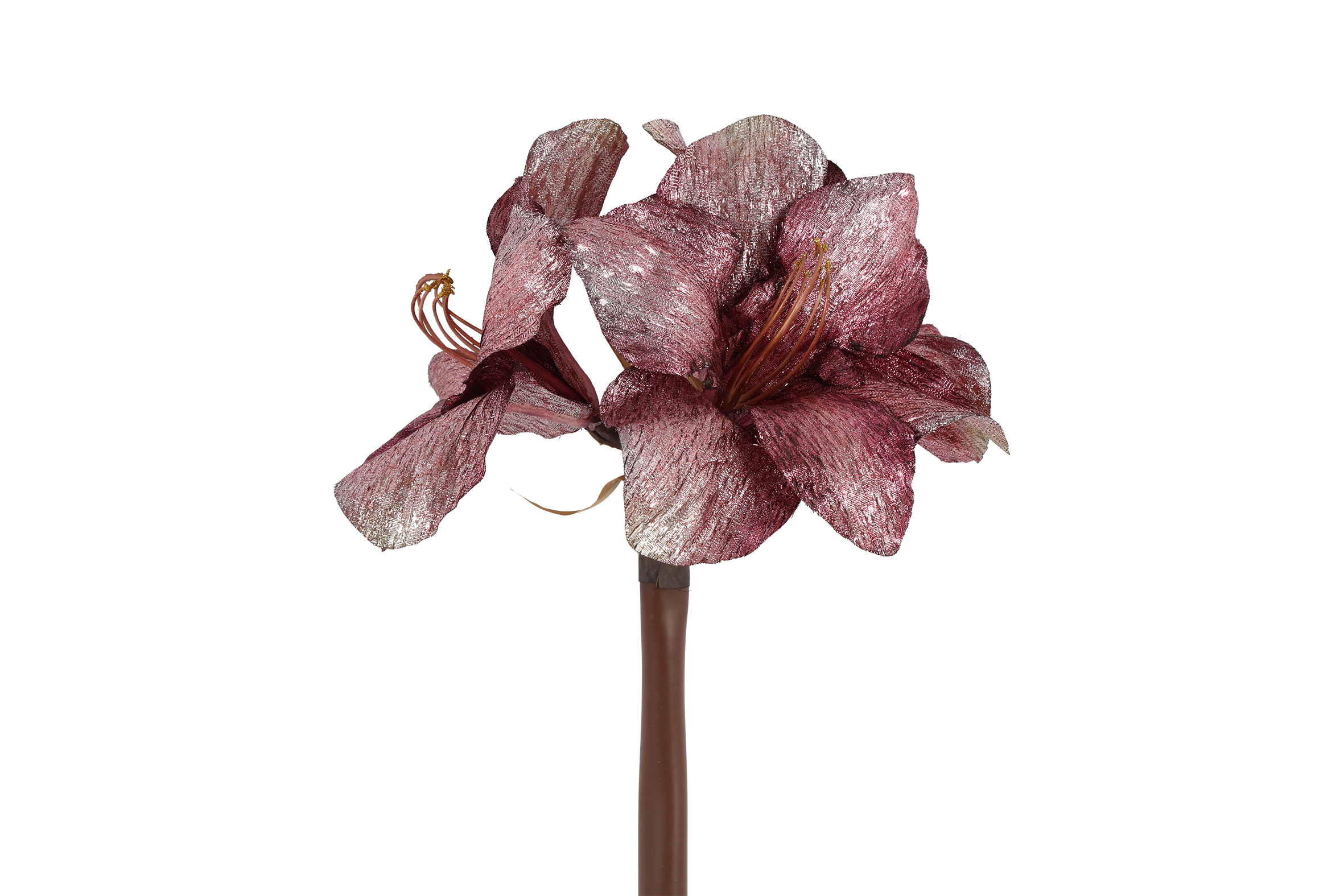 Art Flower Amaryllis Pink Gift