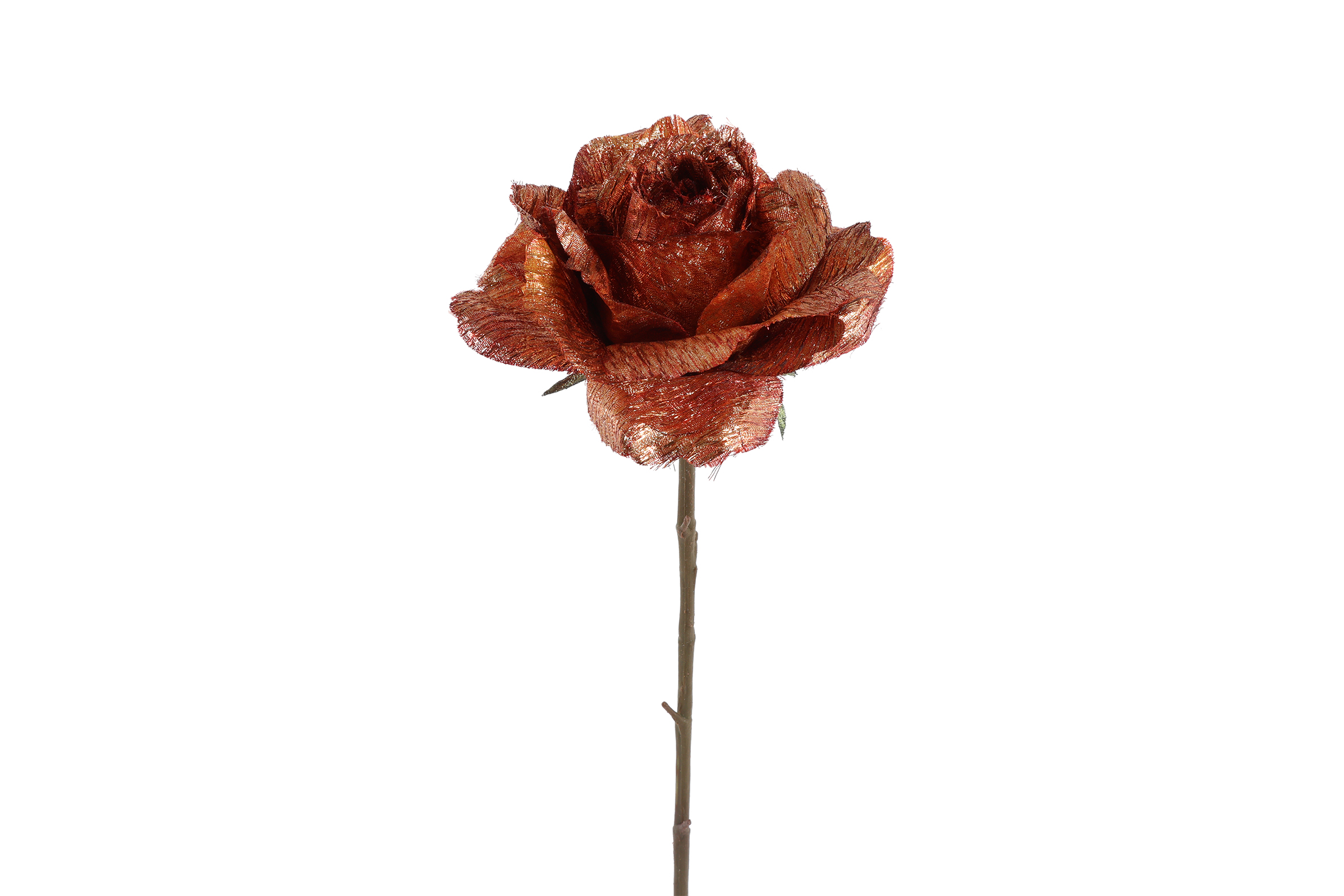 Art Flower Rosa Brown Gift