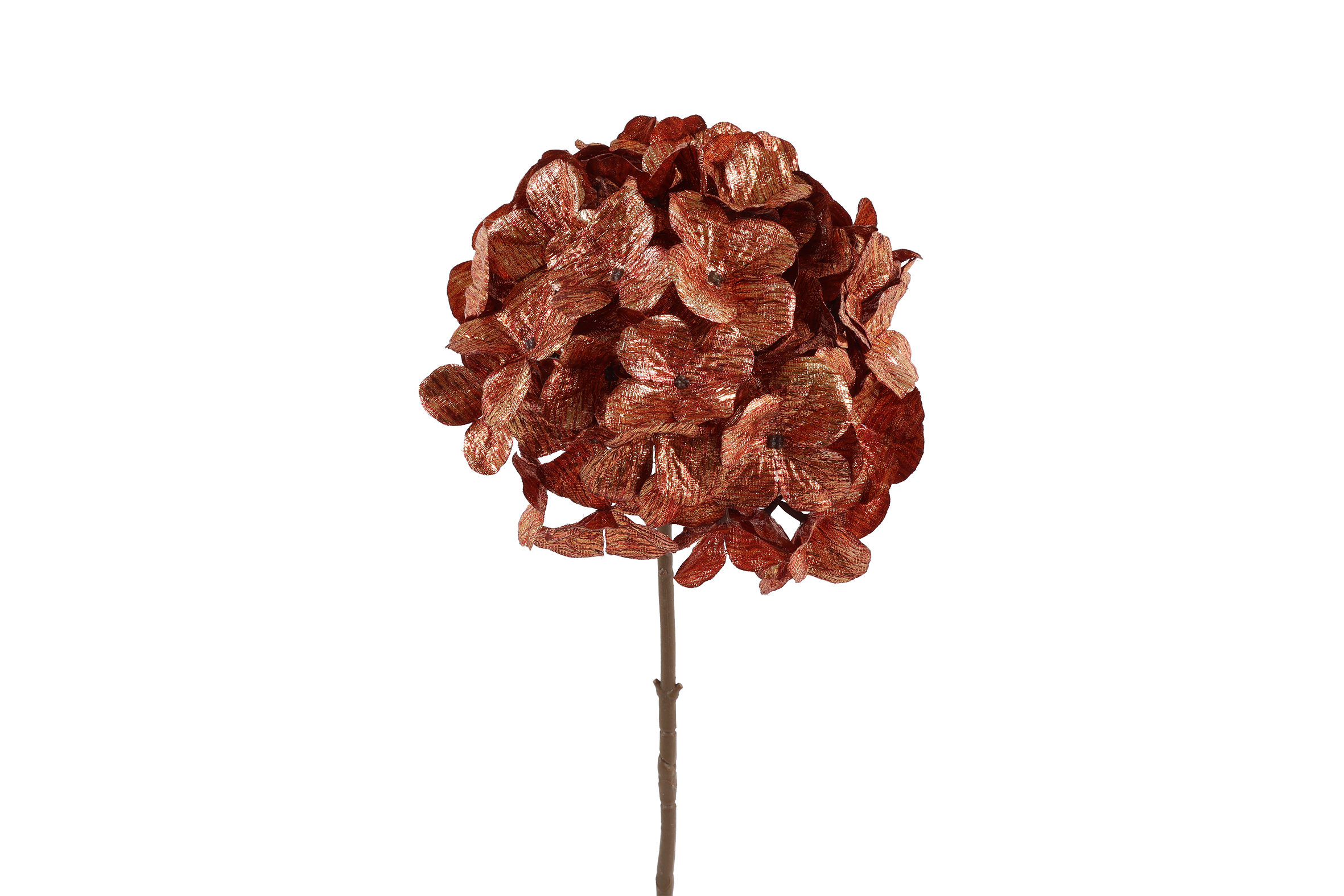 Art Flower Hydrangea Brown Gift