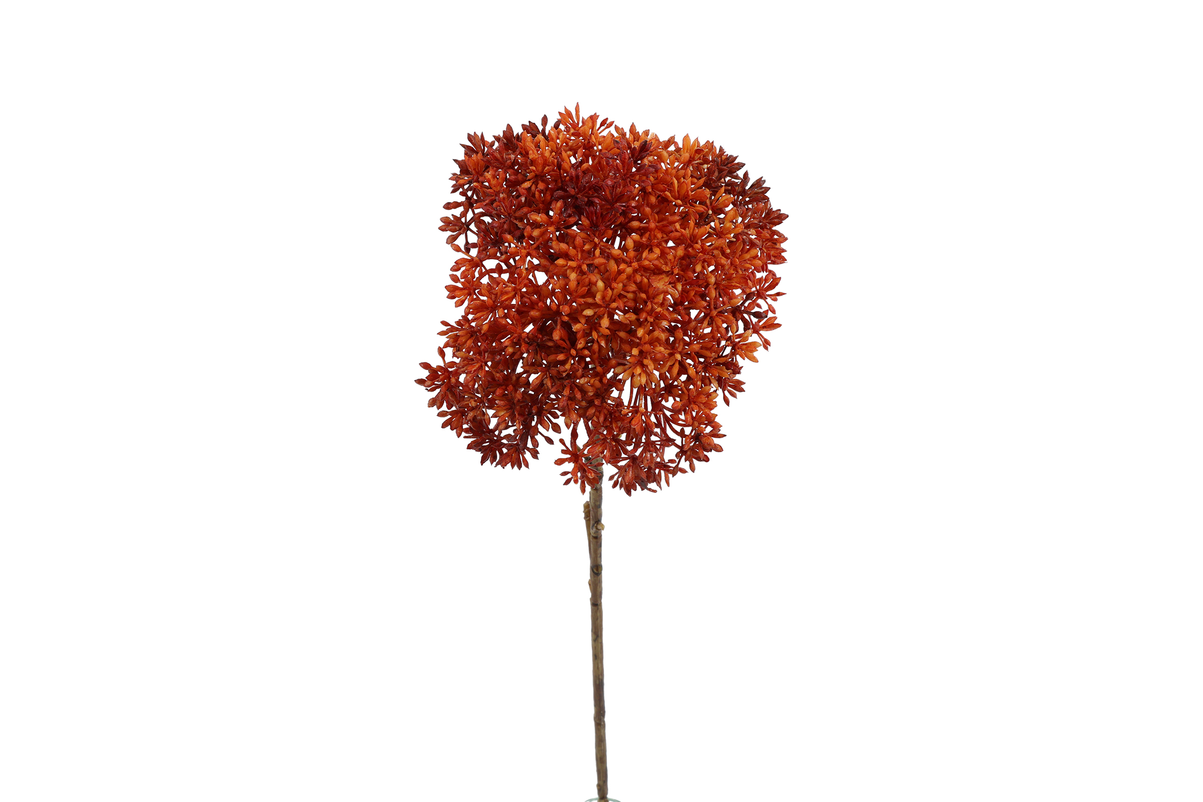 Art Flower Eupatorium Orange Gift