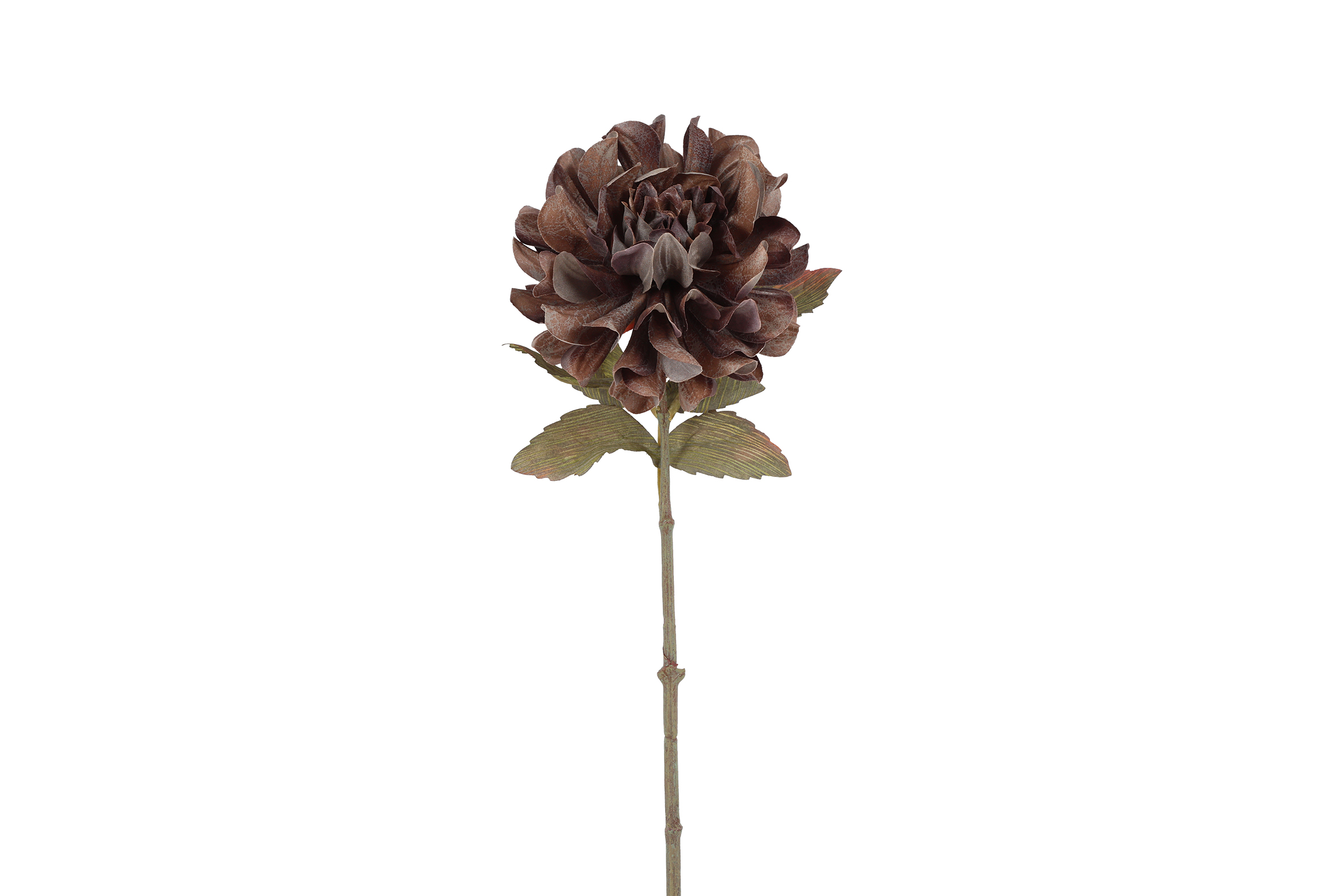 Dahlia Sibel Grey Gift