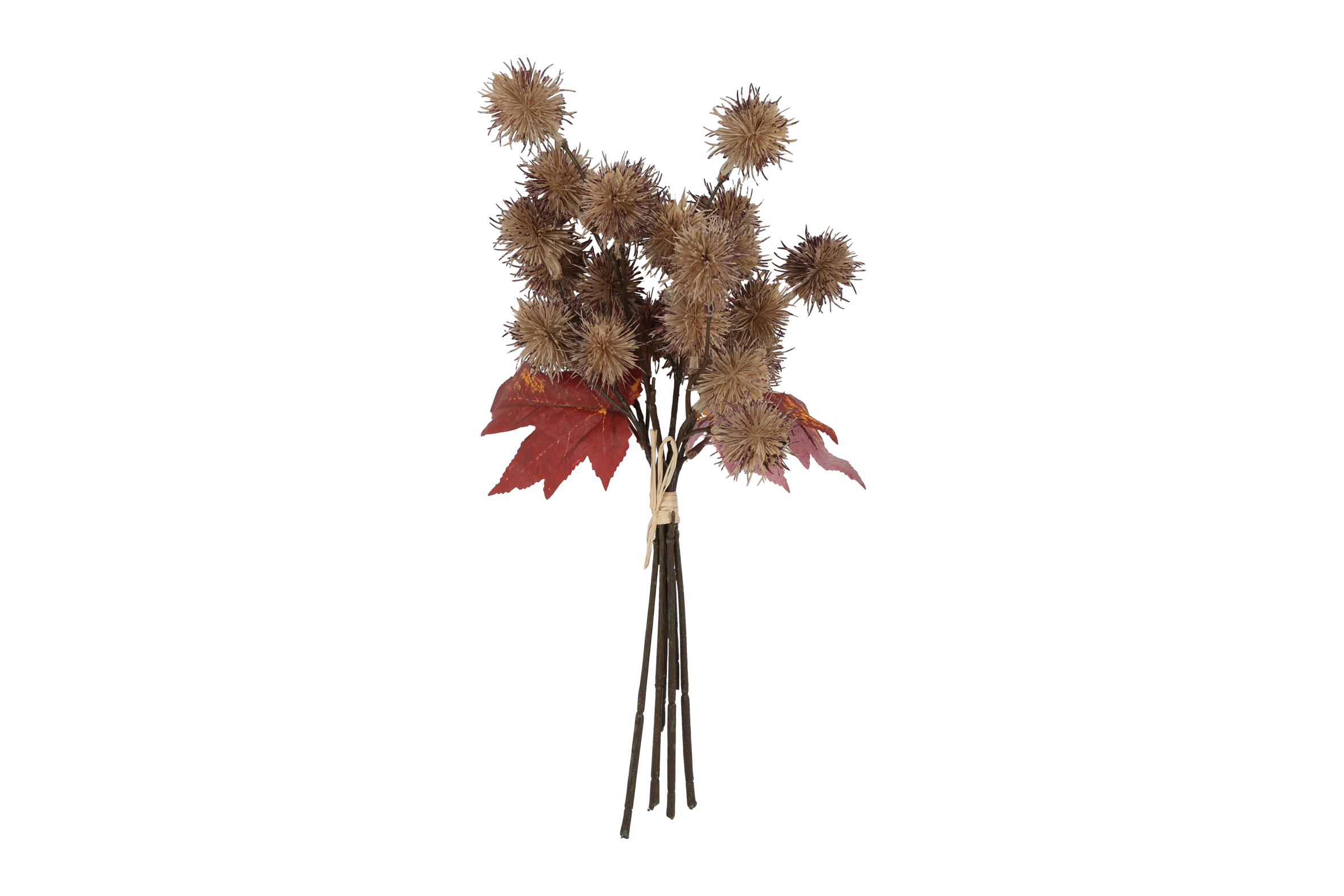 Bundle Ricinus 6x Beige Gift