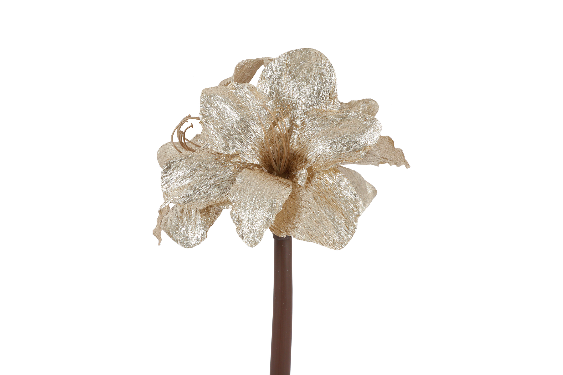 Art Flower Amaryllis Cream Gift