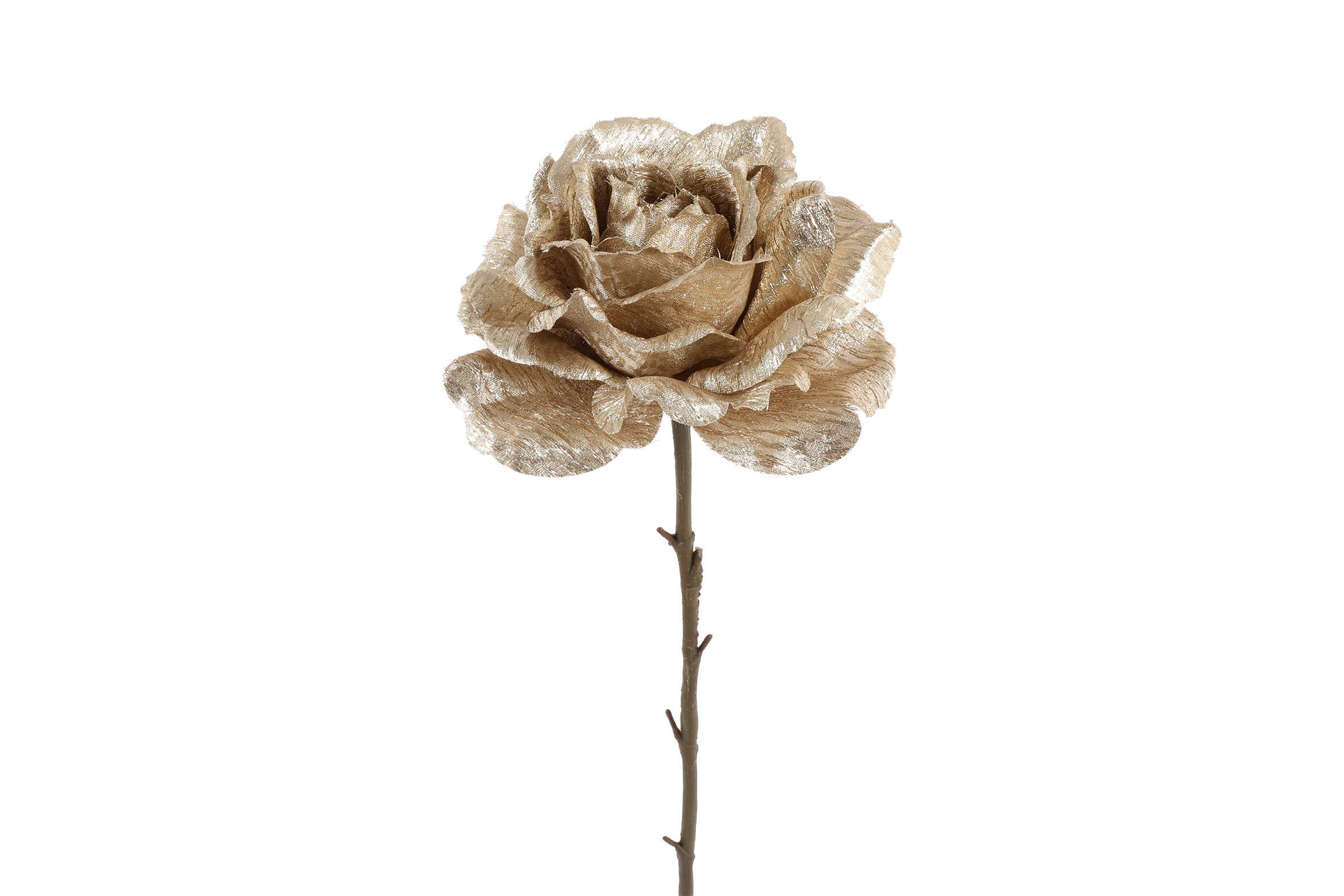 Art Flower Rosa Cream Gift