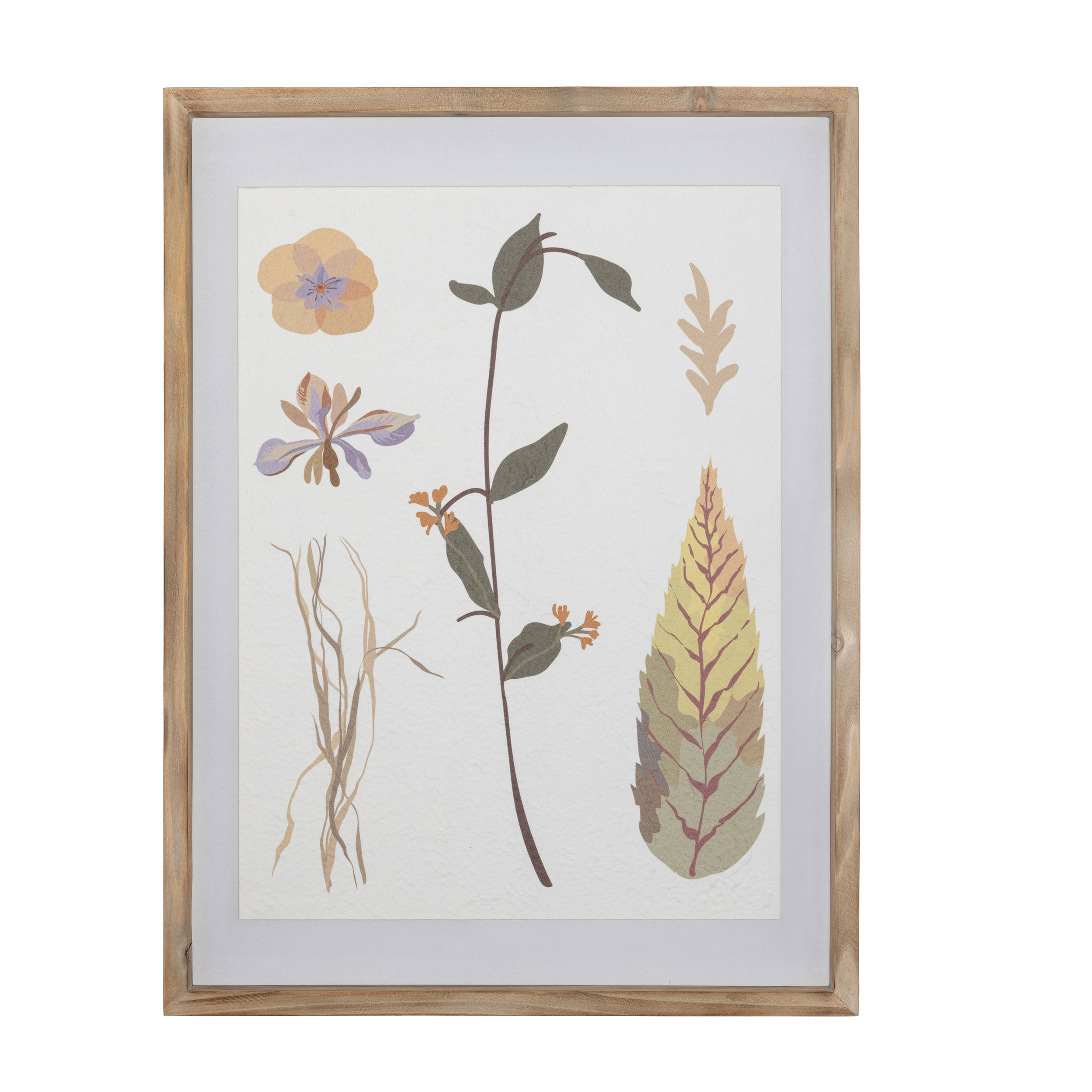 Conlefoglie Iris Painting Gift