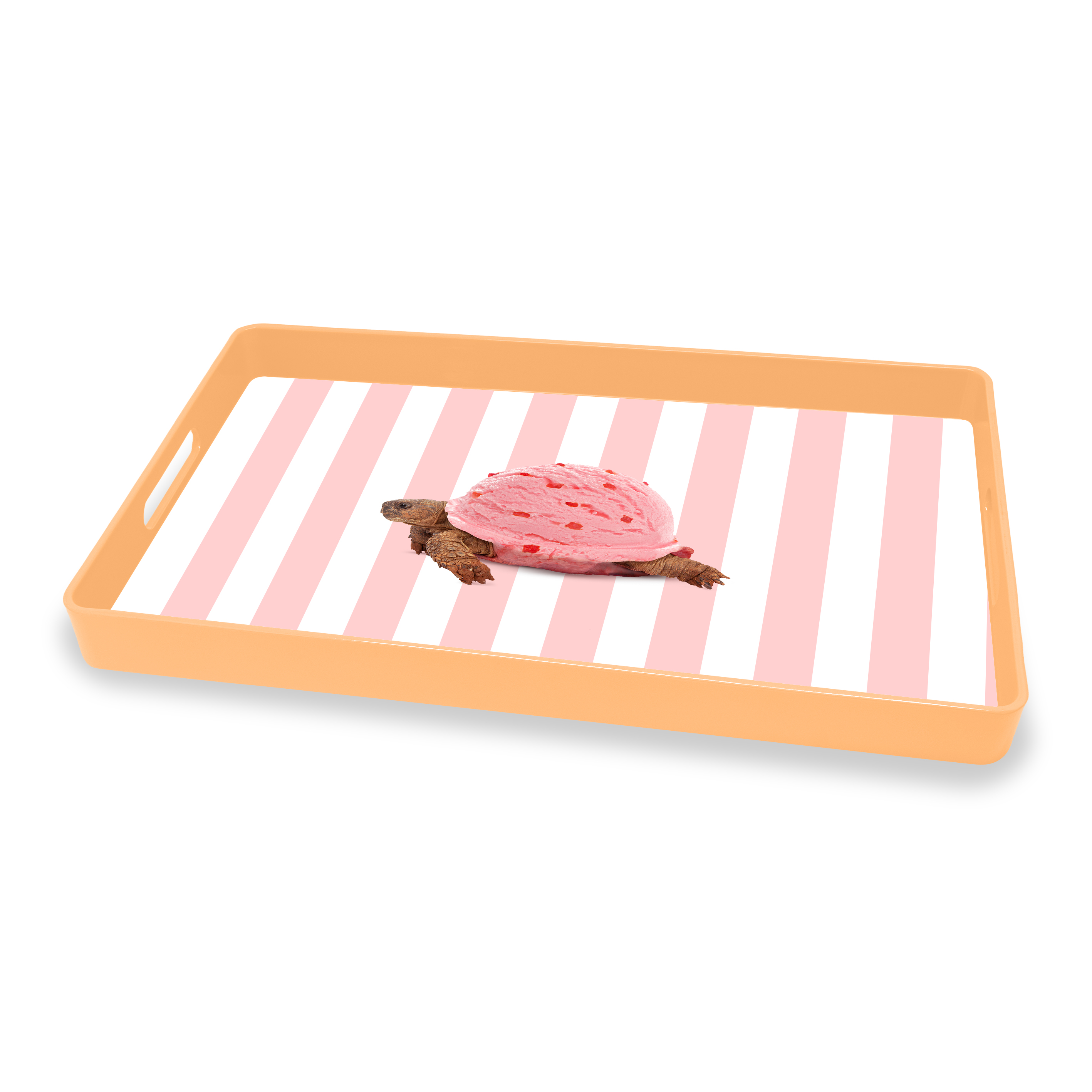 Rectangular Tray 40 X 24 Cm Turtle Decoration Gift