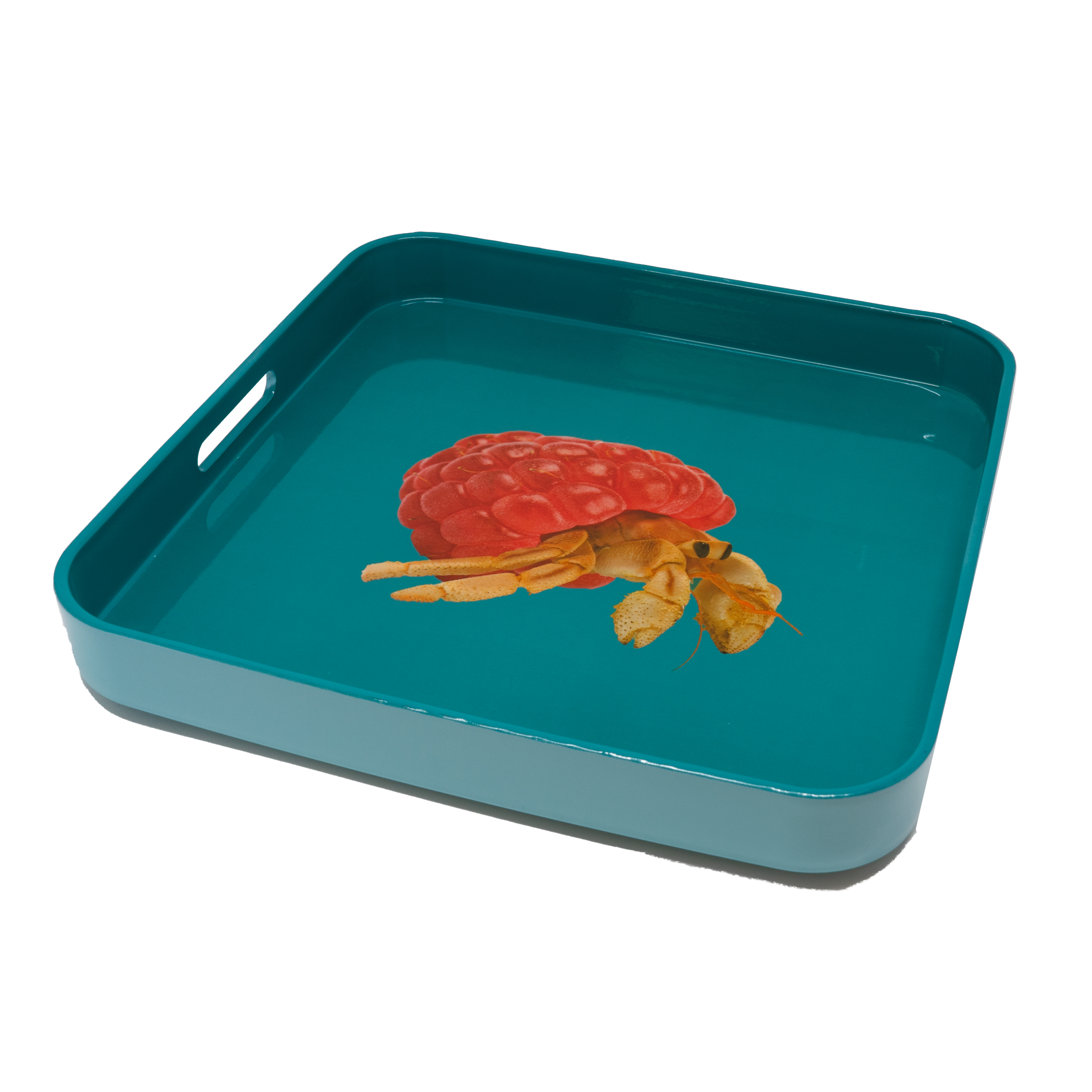 Square Tray 34 X 34 Cm Hermit Crab Decoration Gift