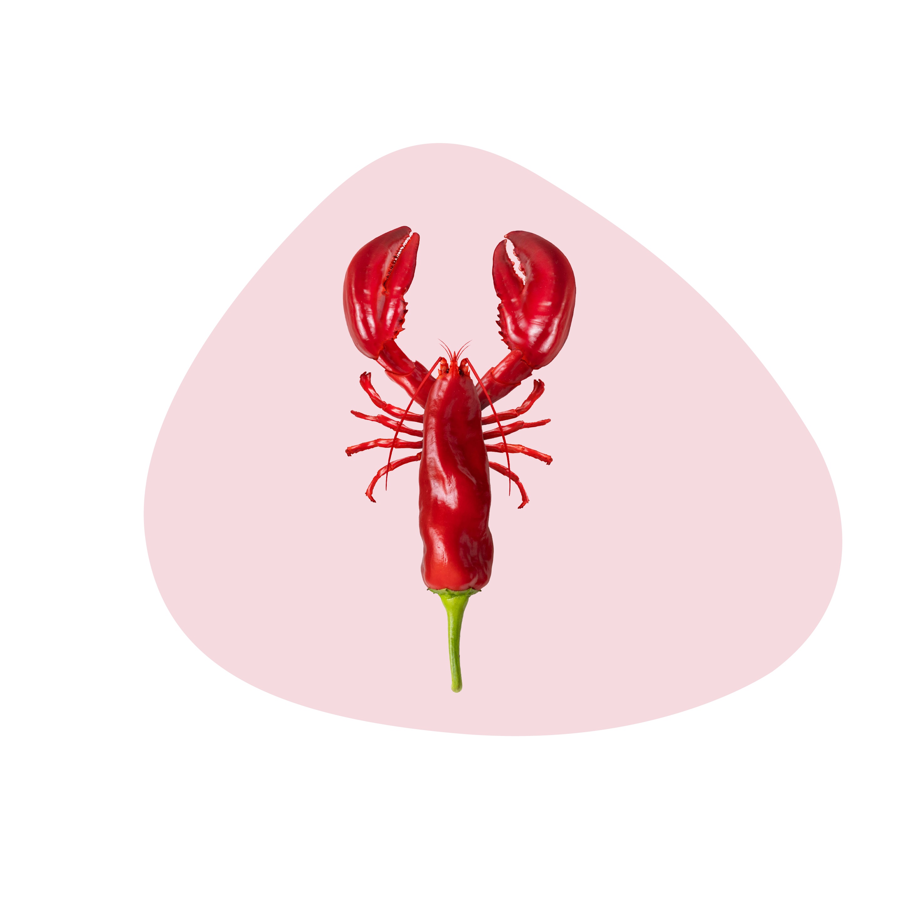 Pvc Placemat Lobster Decoration Gift