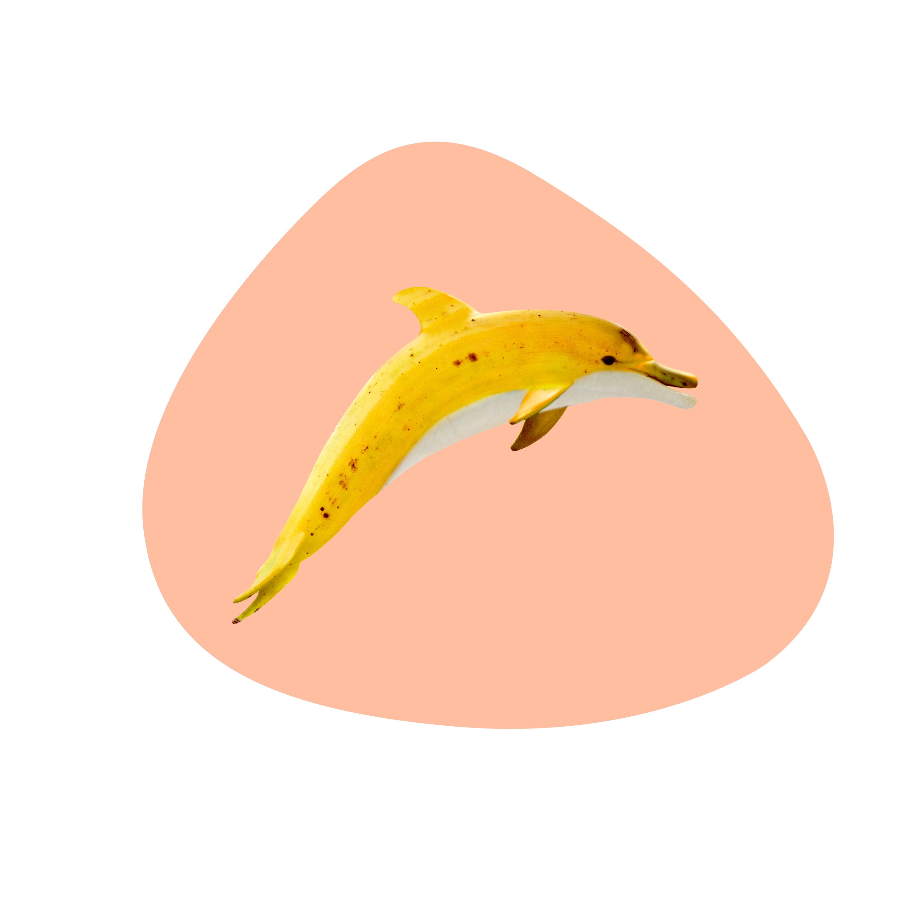Pvc Placemat Dolphin Decoration Gift
