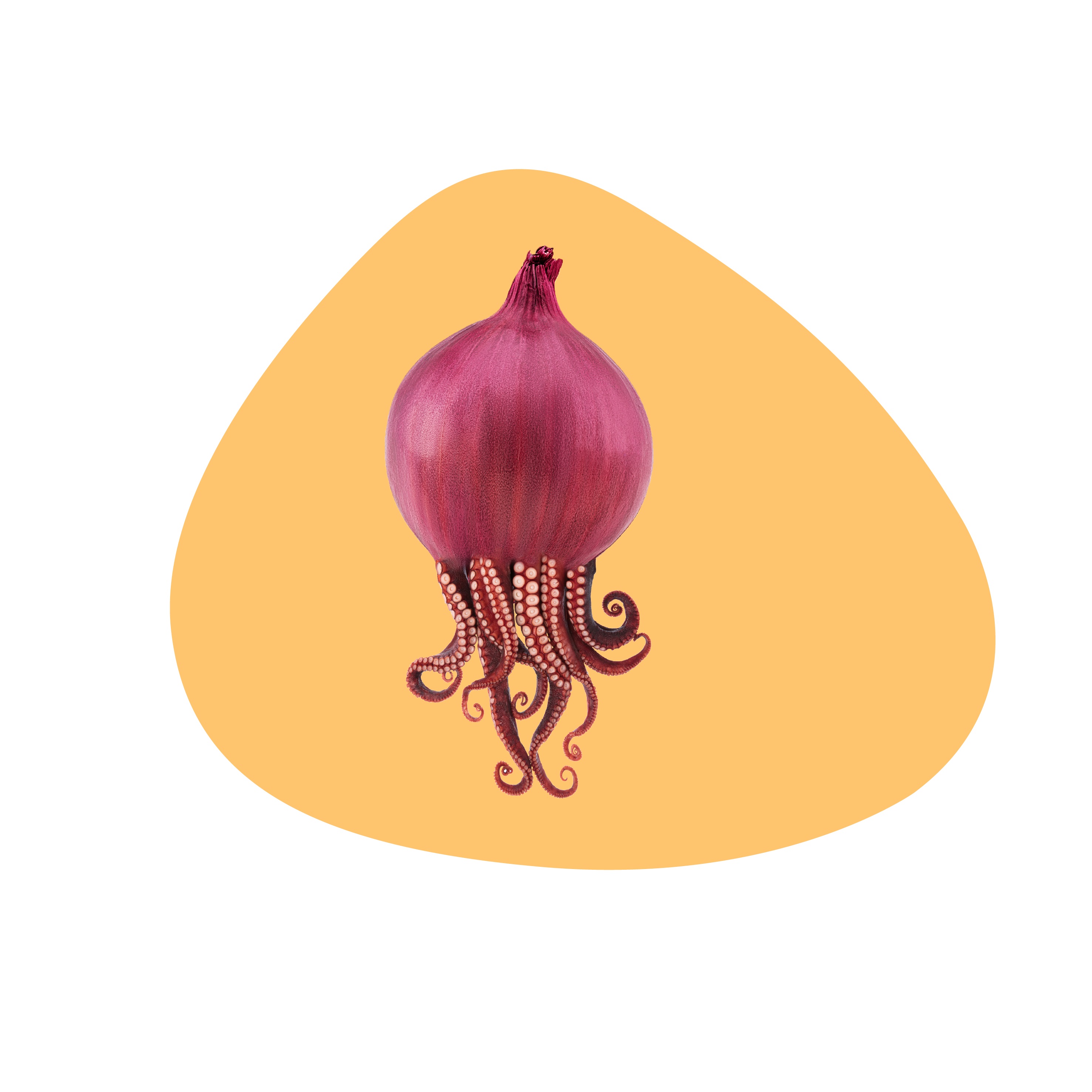 Pvc Placemat Octopus Decoration Gift