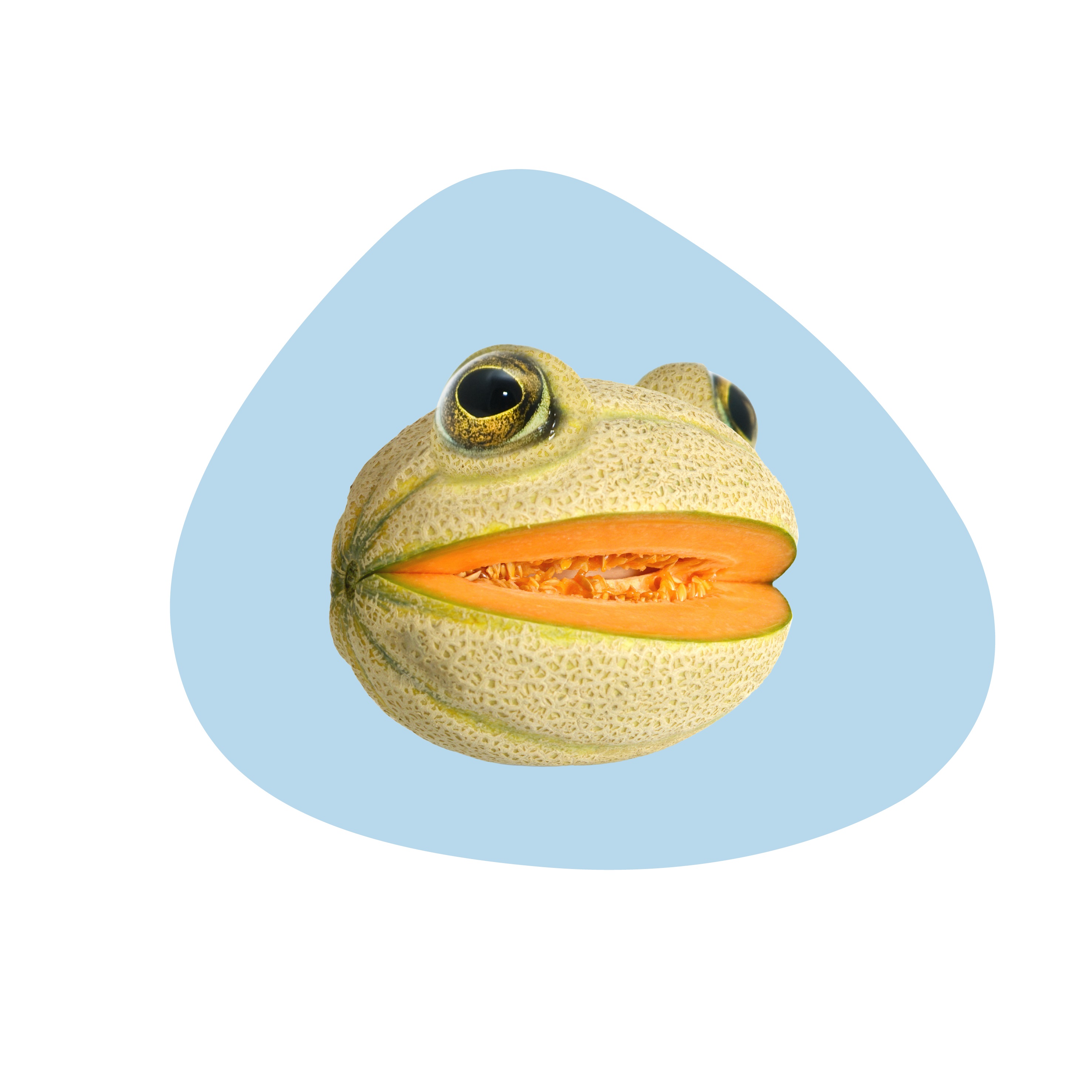 Pvc Placemat Frog Decoration Gift