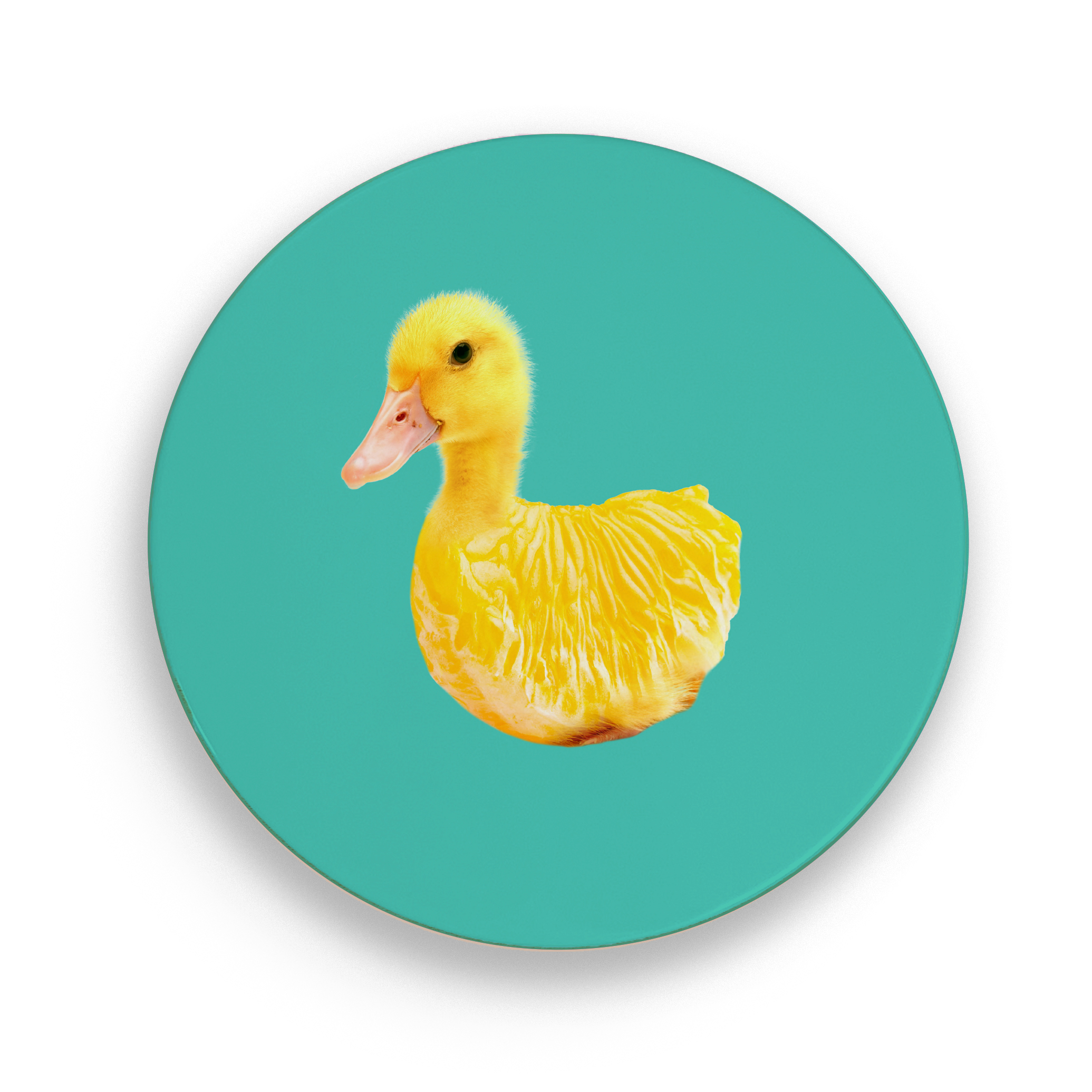 Ceramic Trivet 18 Cm Little Duck Decoration Gift