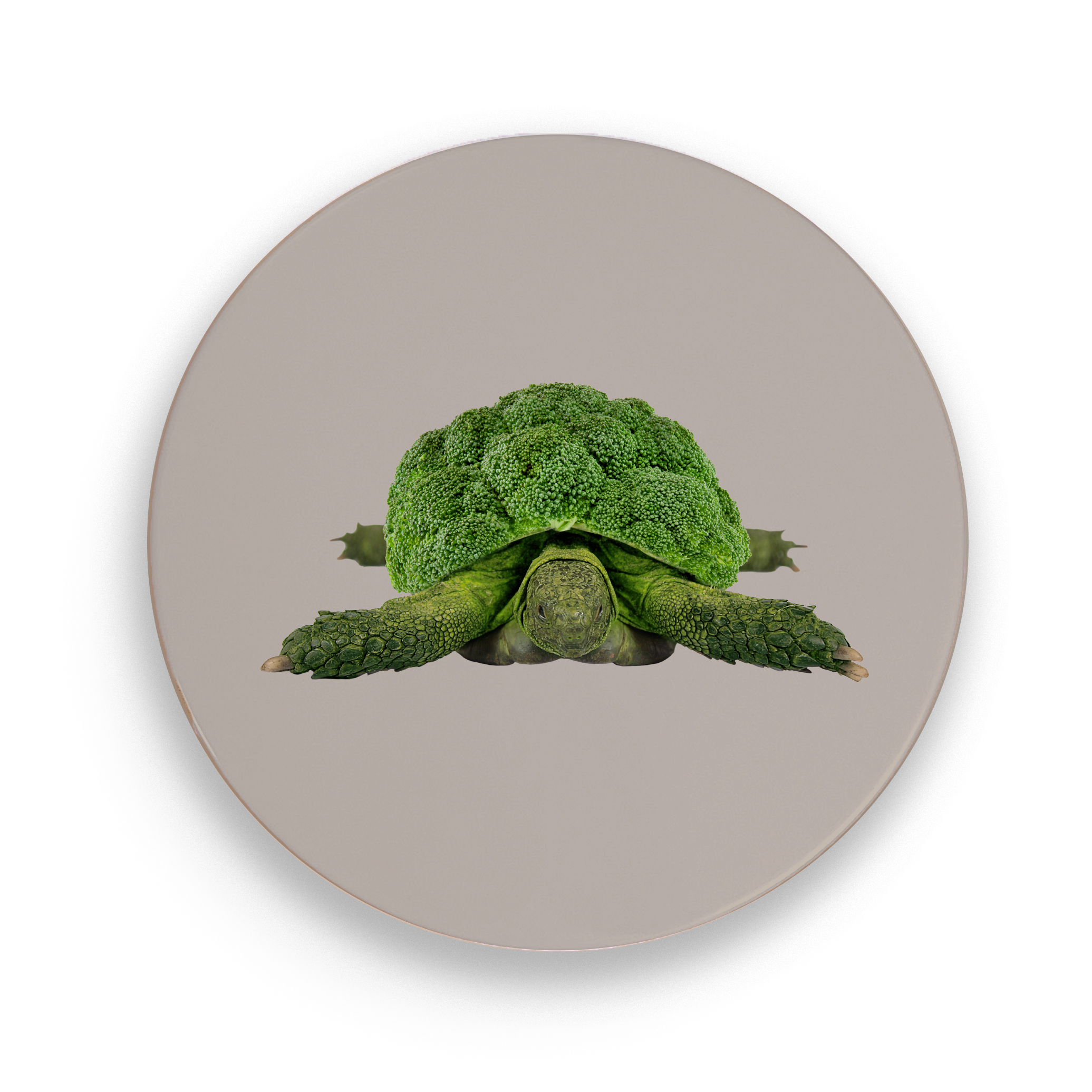 Ceramic Trivet 18 Cm Turtle Decoration Gift
