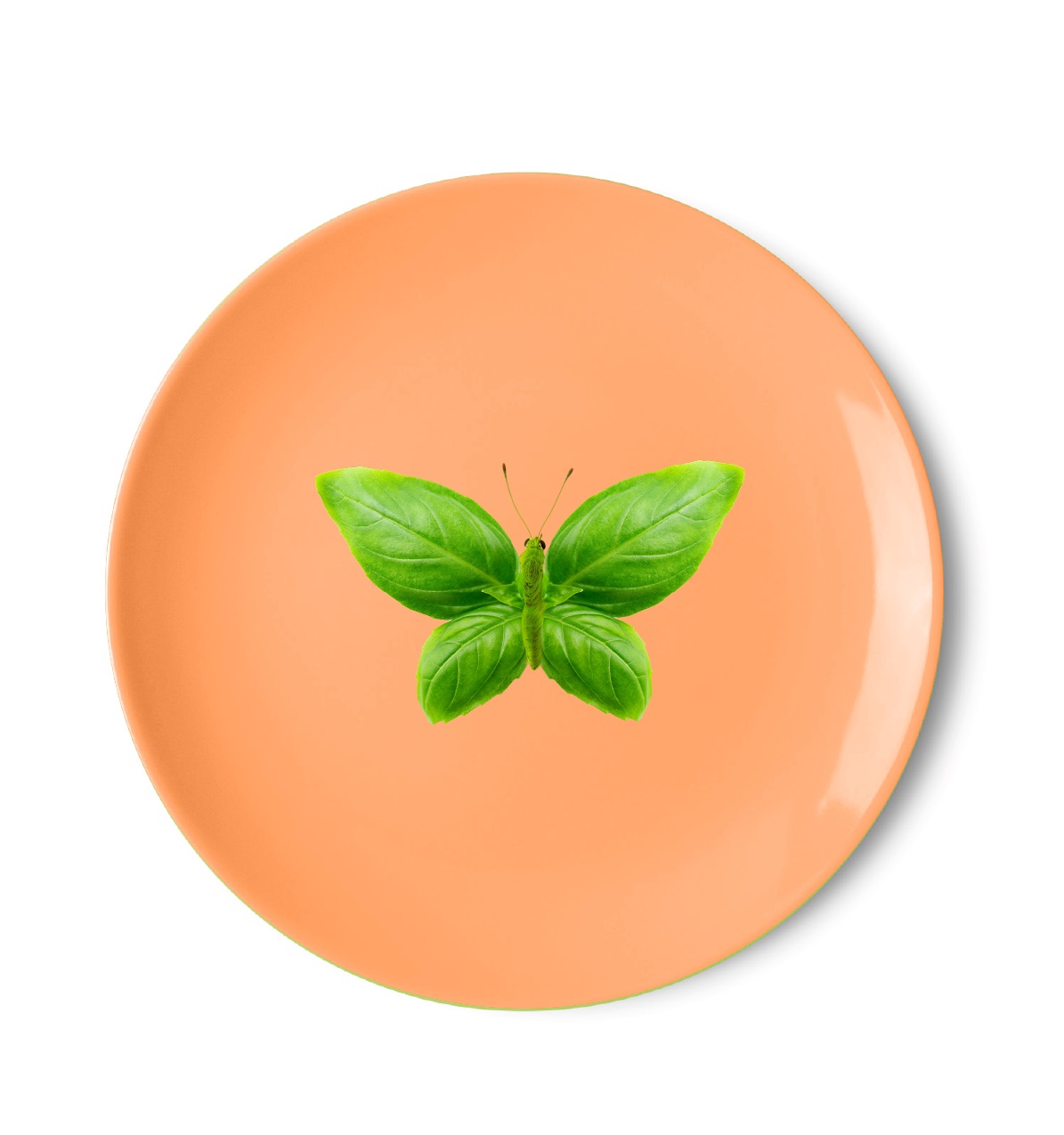 Pizza Plate 305cm Butterfly Decoration Gift