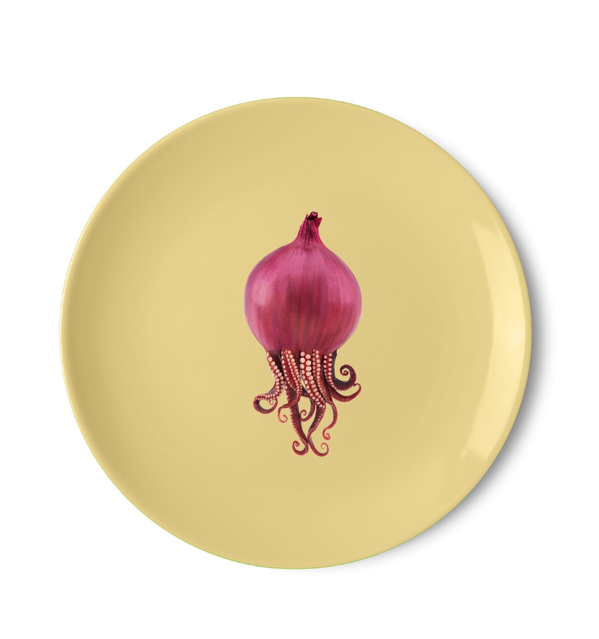 Pizza Plate 305cm Octopus Decoration Gift